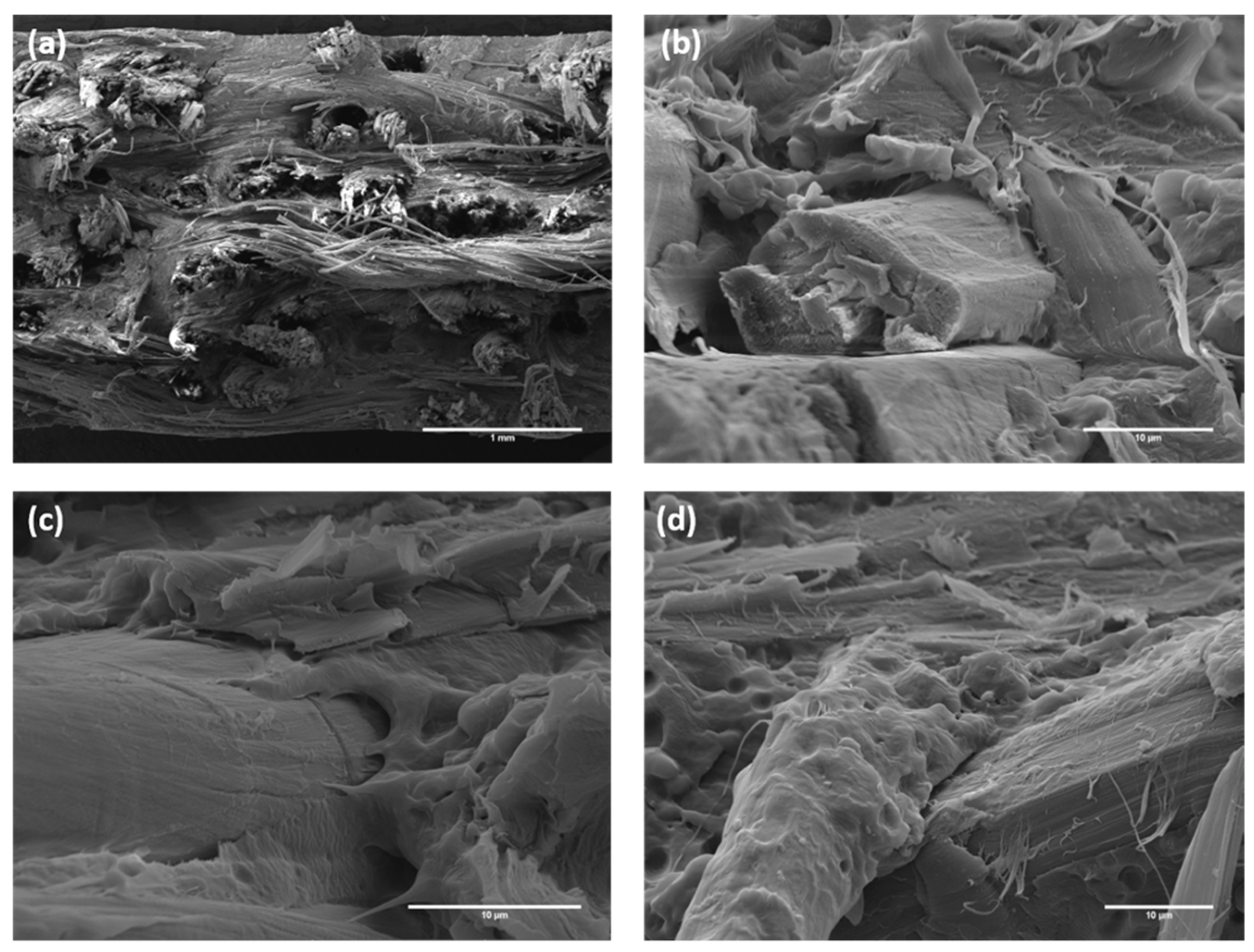 Polymers 12 00438 g006 Polymers 12 00438 g006