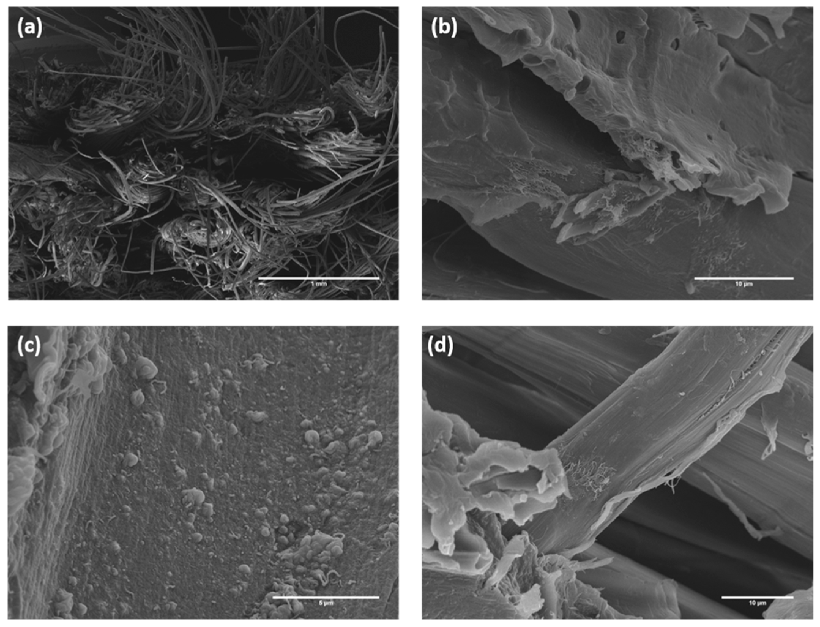 Polymers 12 00438 g007 Polymers 12 00438 g007
