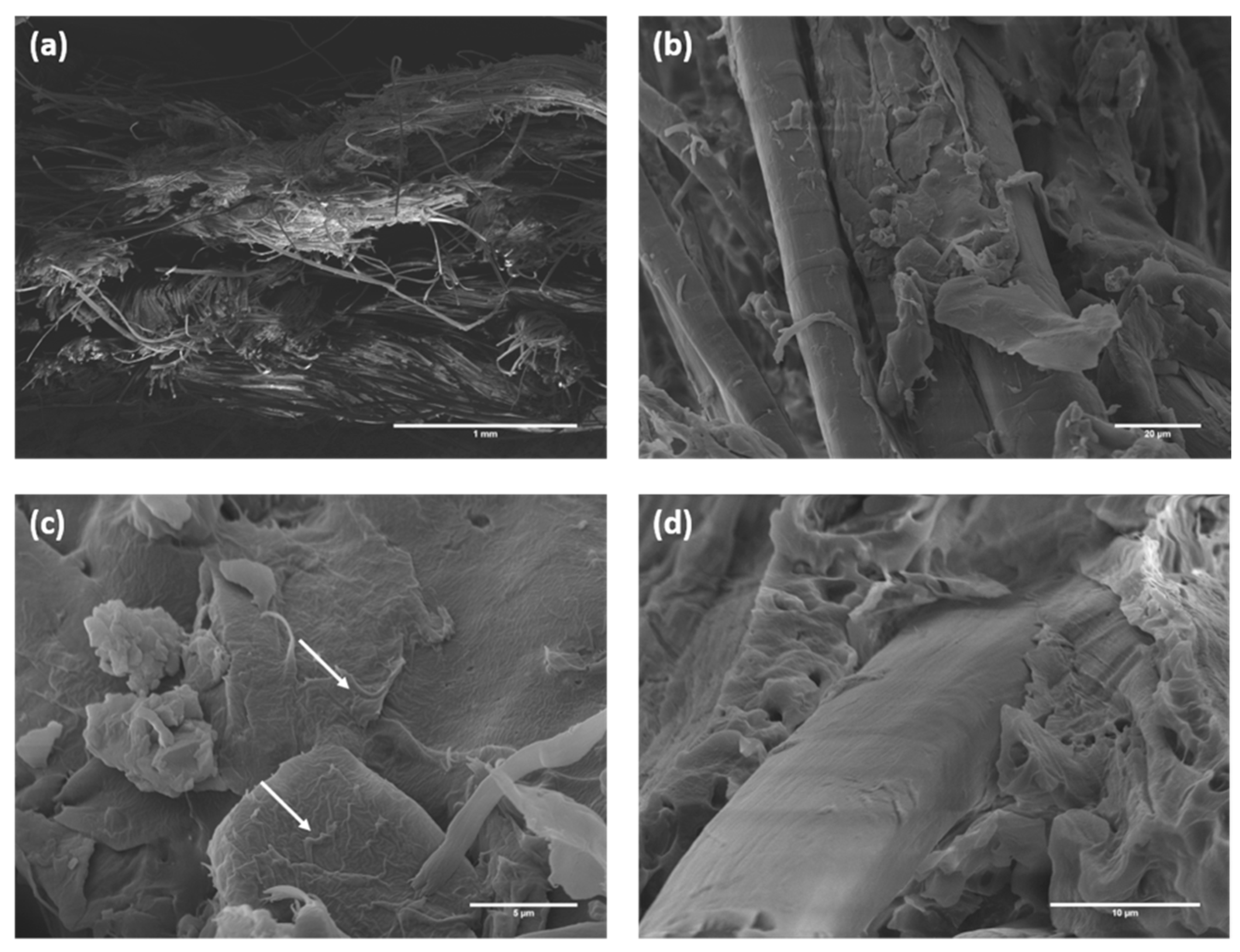 Polymers 12 00438 g008 Polymers 12 00438 g008