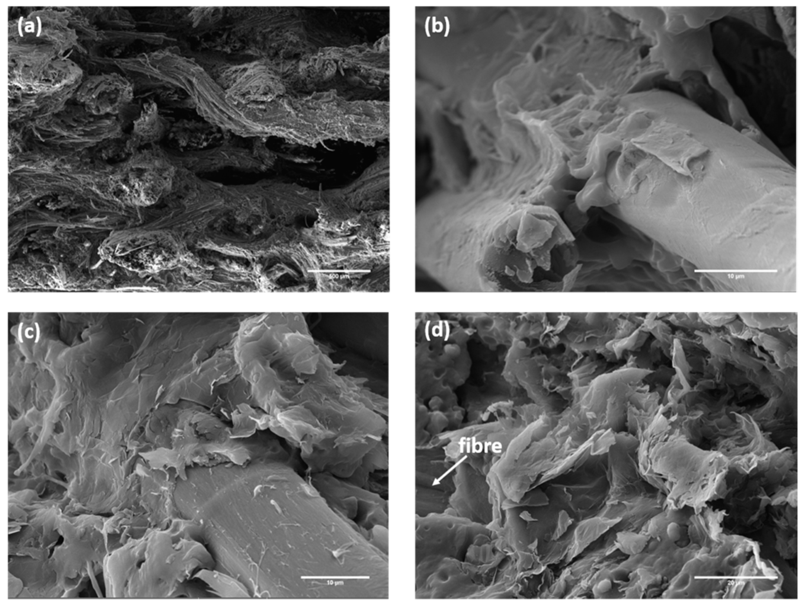 Polymers 12 00438 g009 Polymers 12 00438 g009