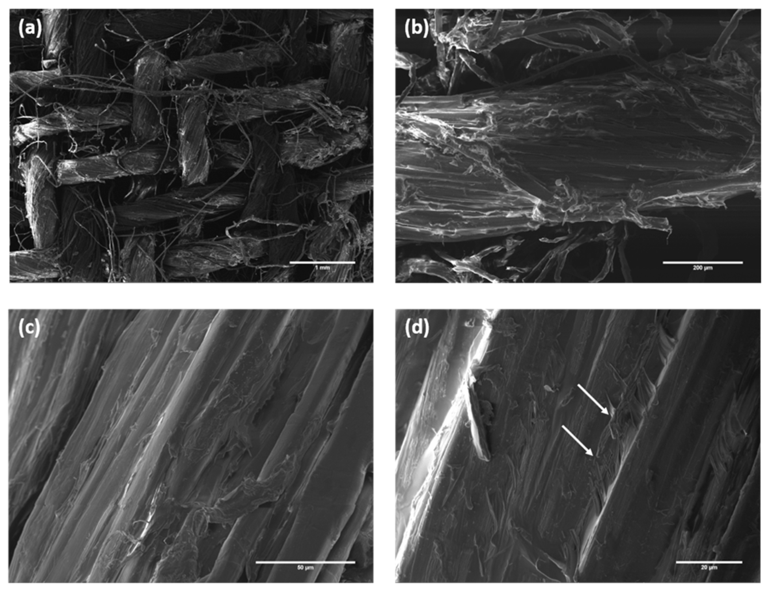 Polymers 12 00438 g013 Polymers 12 00438 g013