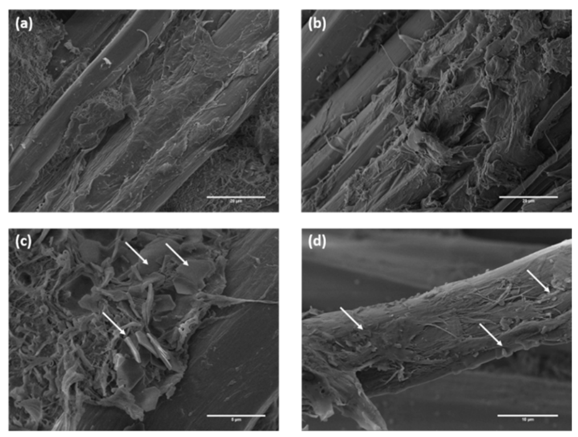 Polymers 12 00438 g016 Polymers 12 00438 g016