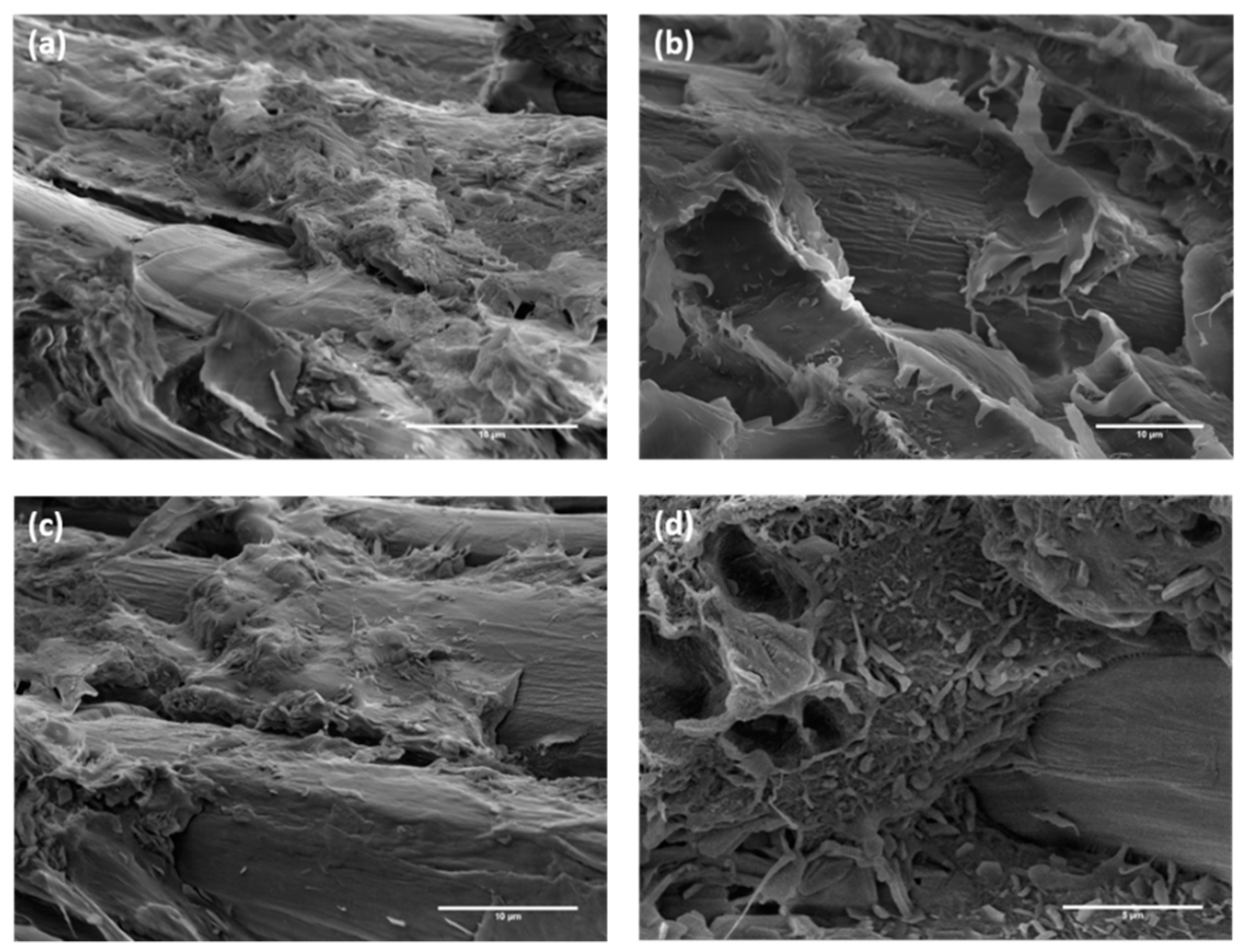 Polymers 12 00438 g017 Polymers 12 00438 g017