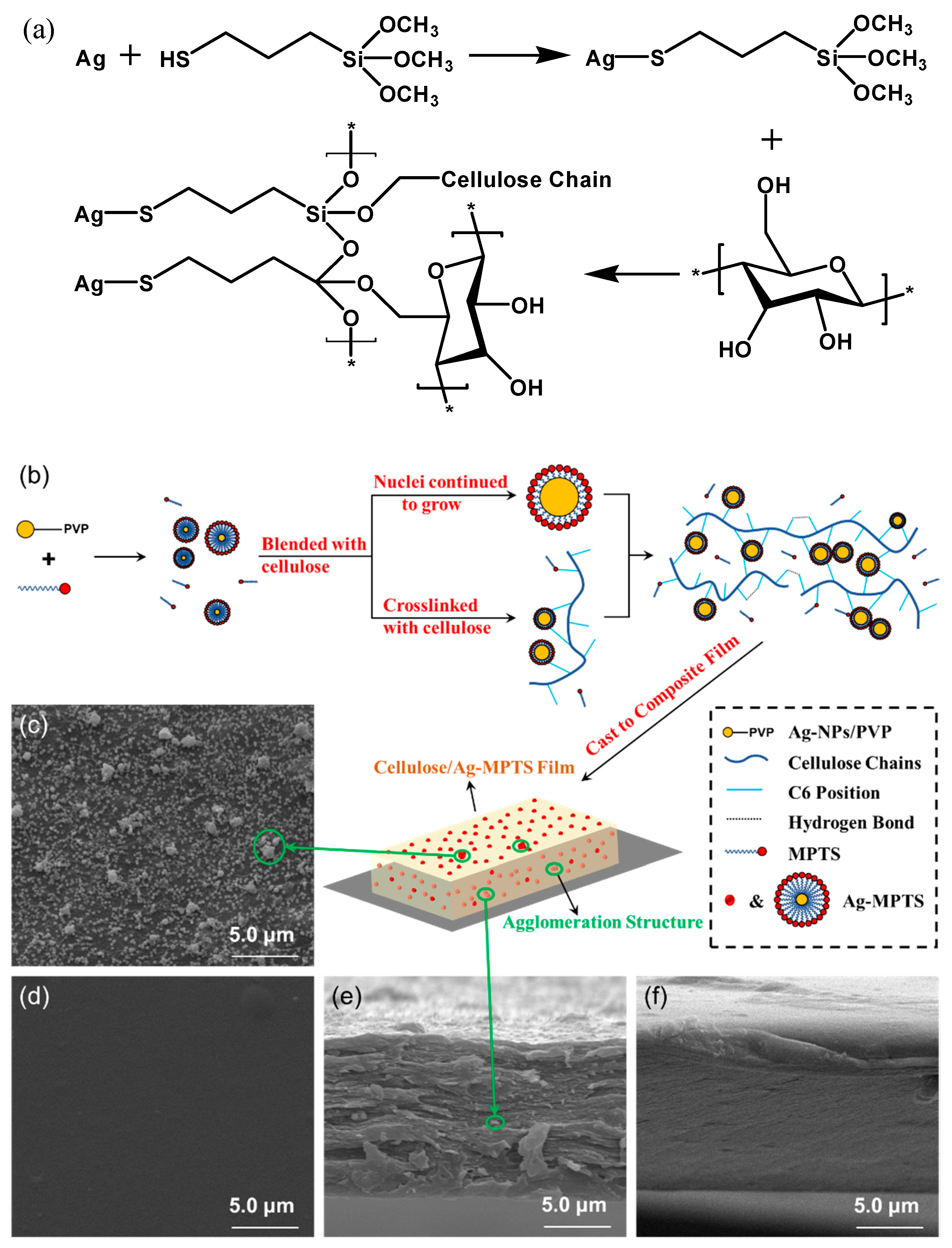 Polymers 12 00440 g004 Polymers 12 00440 g004