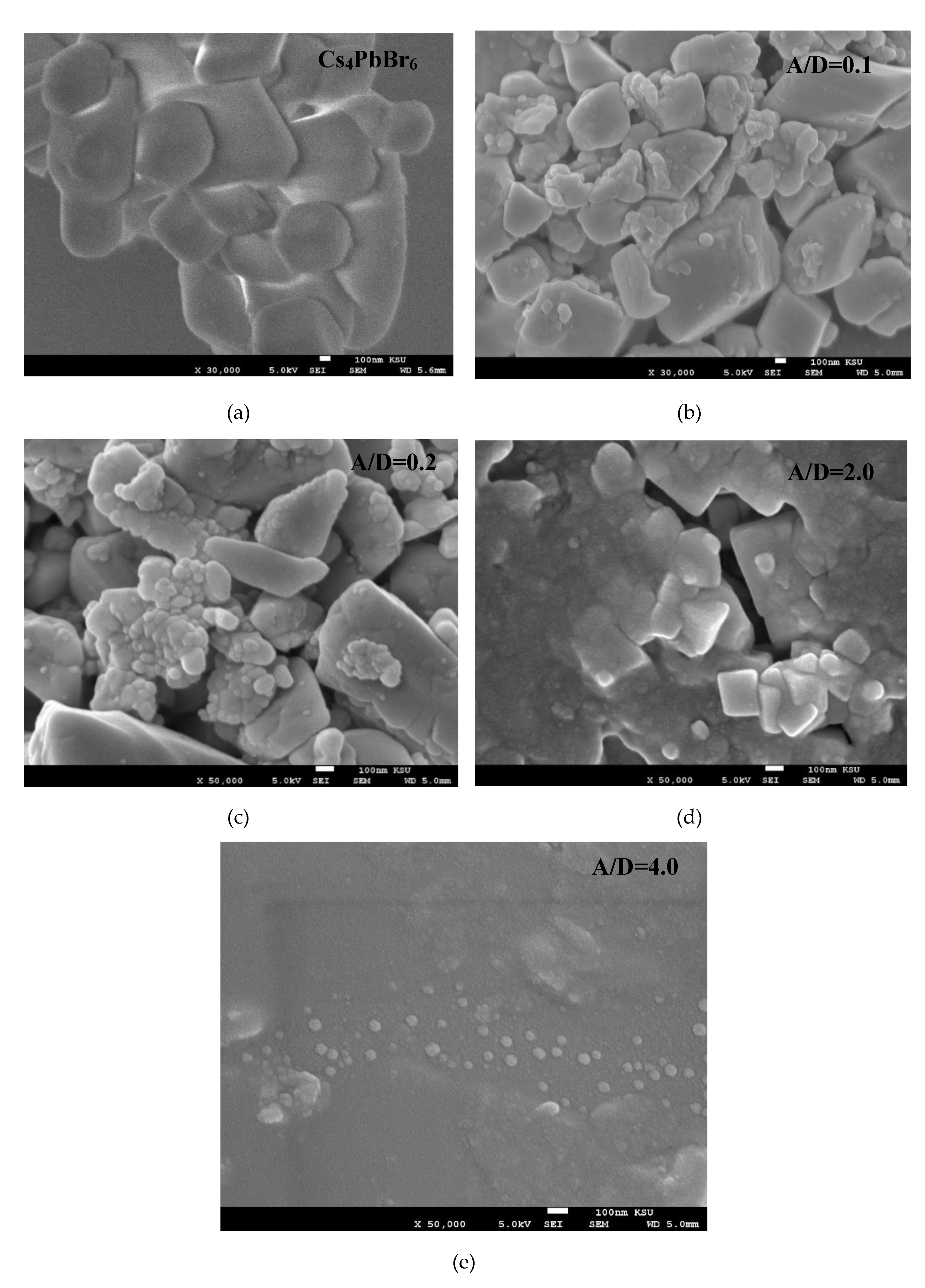 Polymers 12 00444 g002 Polymers 12 00444 g002