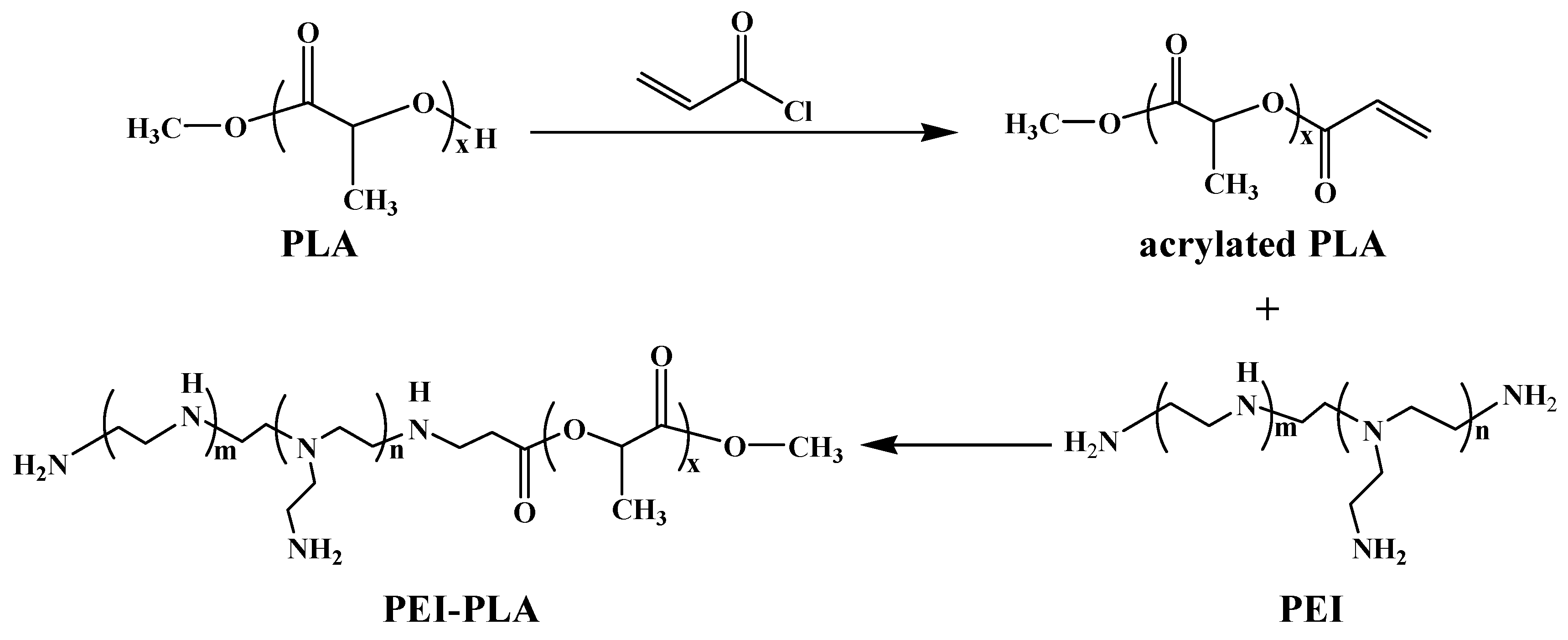 Polymers 12 00445 g001