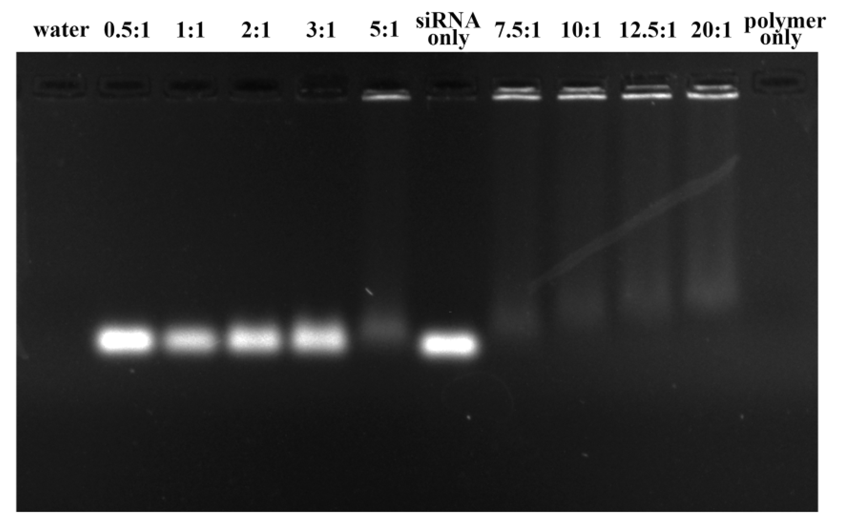 Polymers 12 00445 g003
