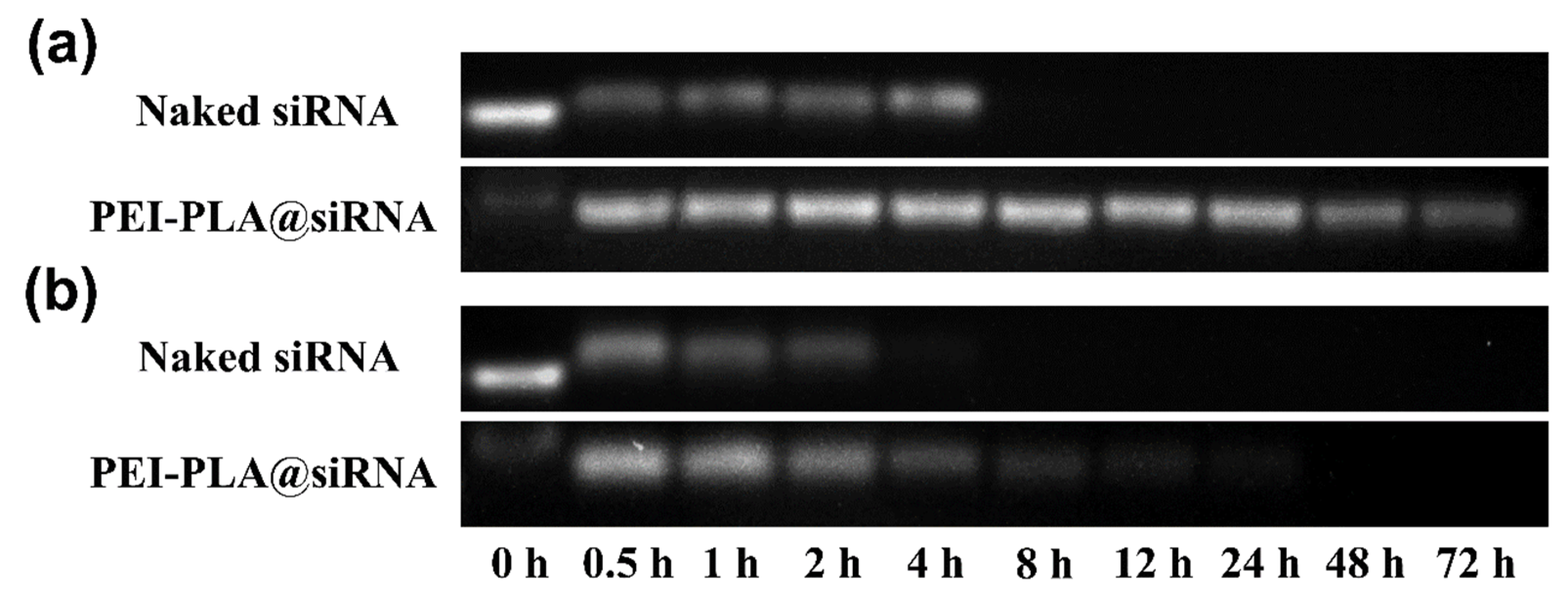 Polymers 12 00445 g004
