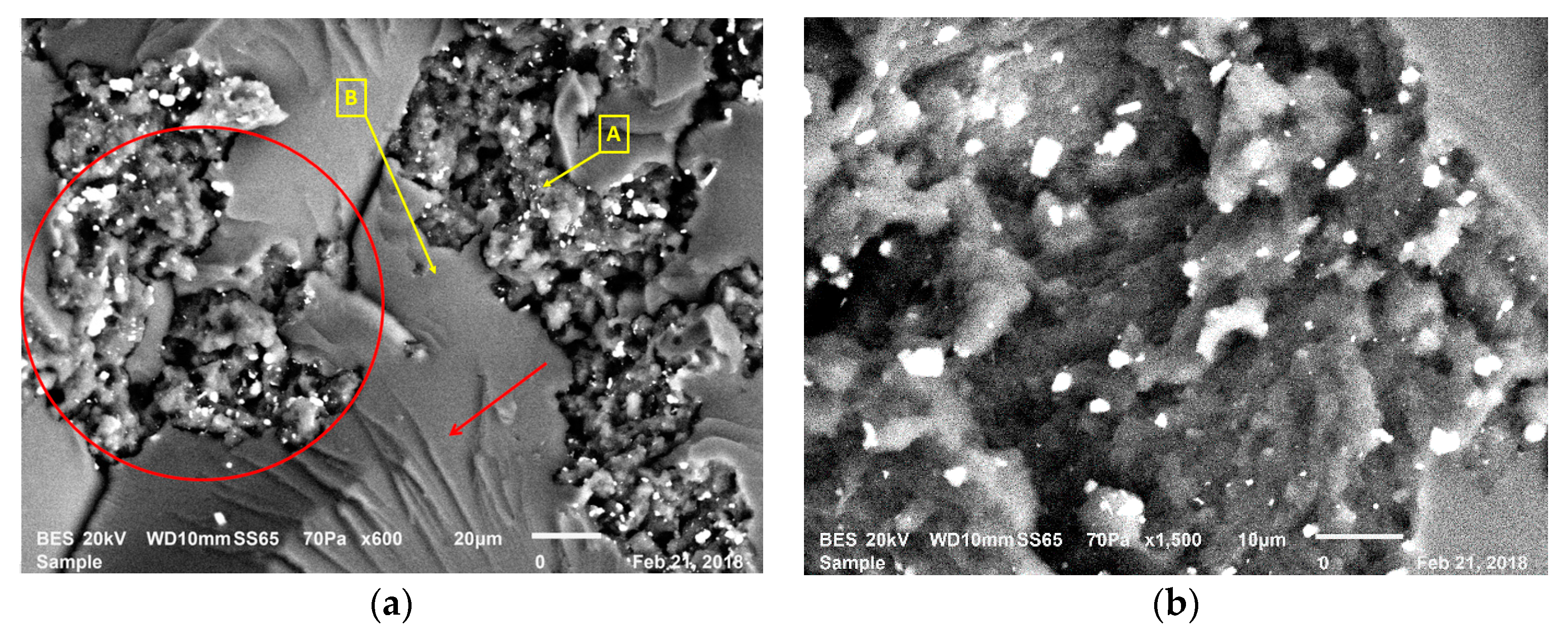 Polymers 12 00448 g009