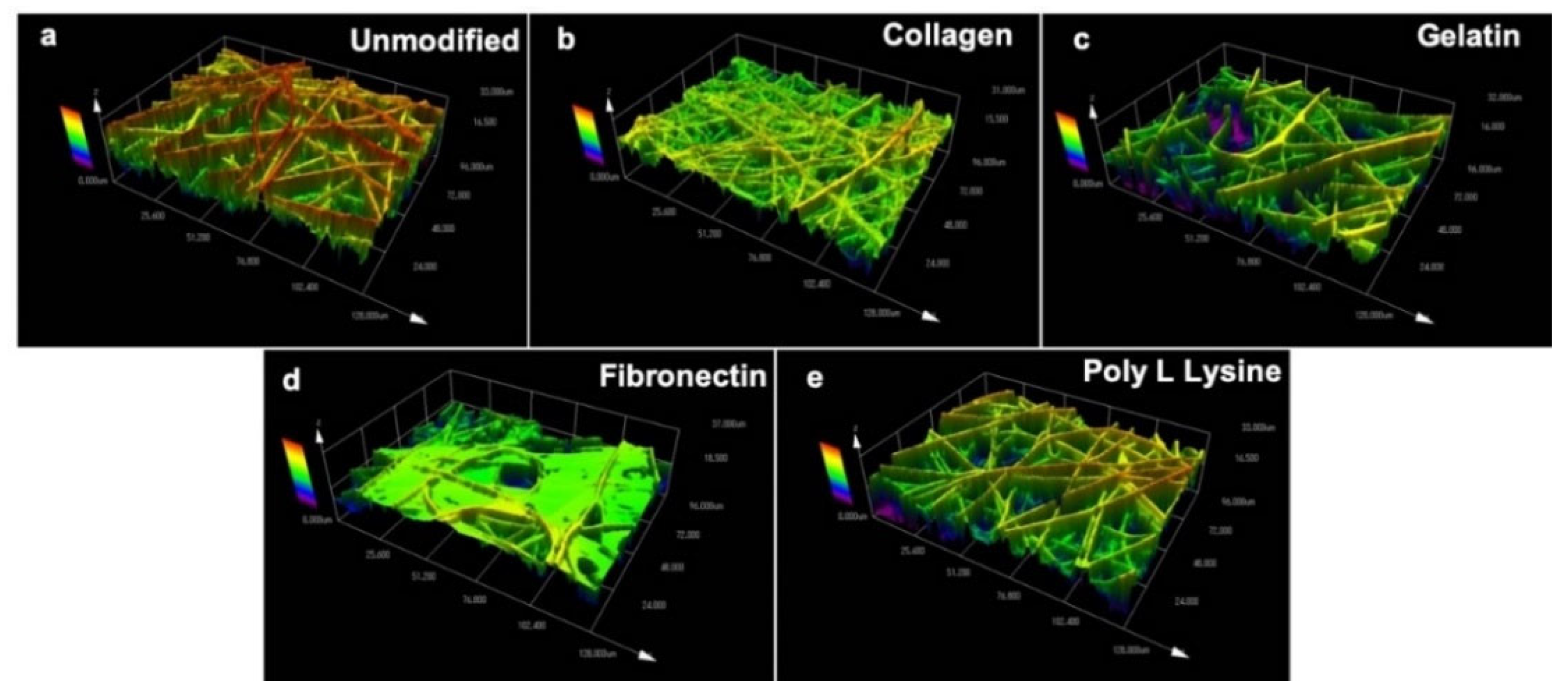 Polymers 12 00451 g003