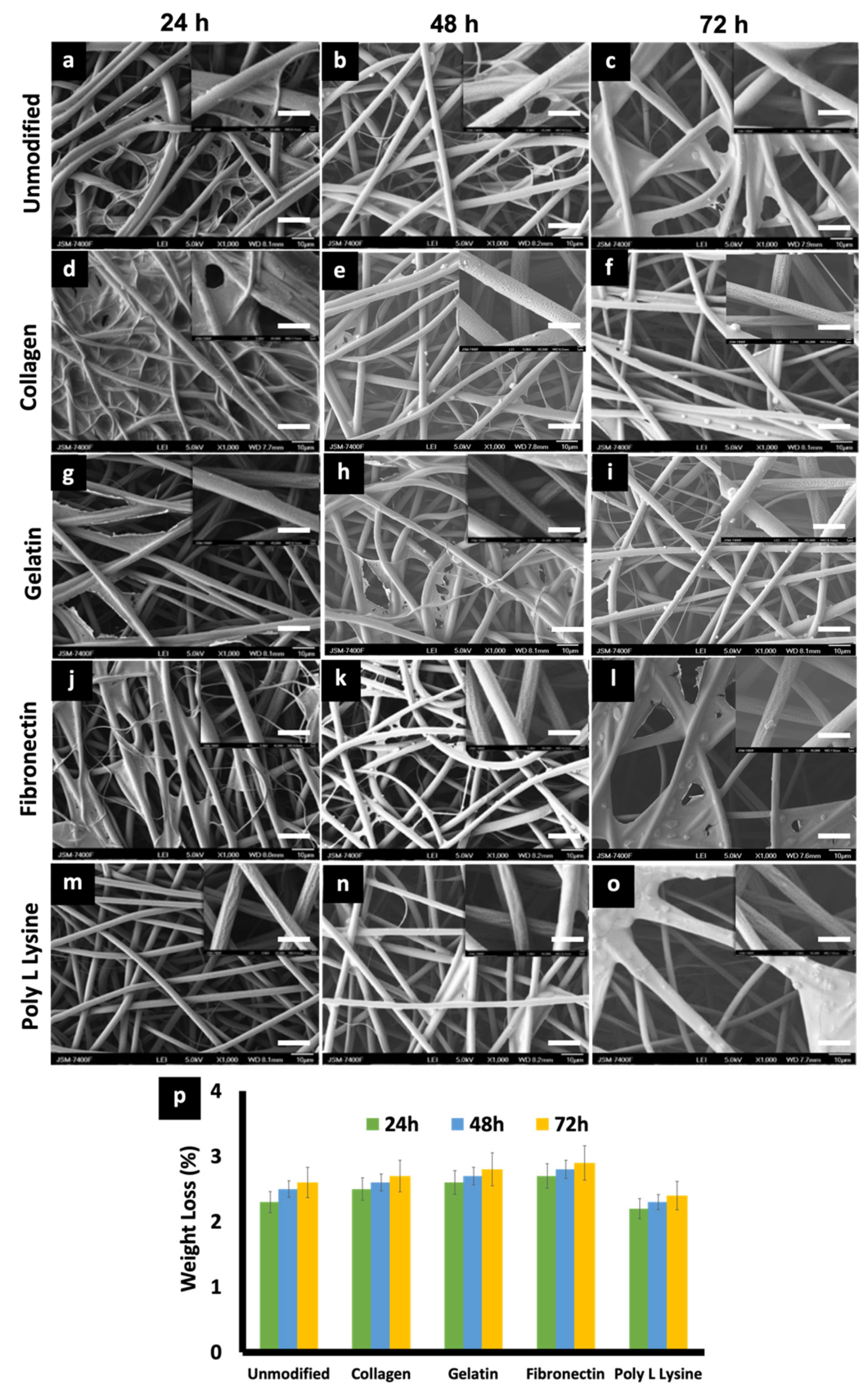 Polymers 12 00451 g006