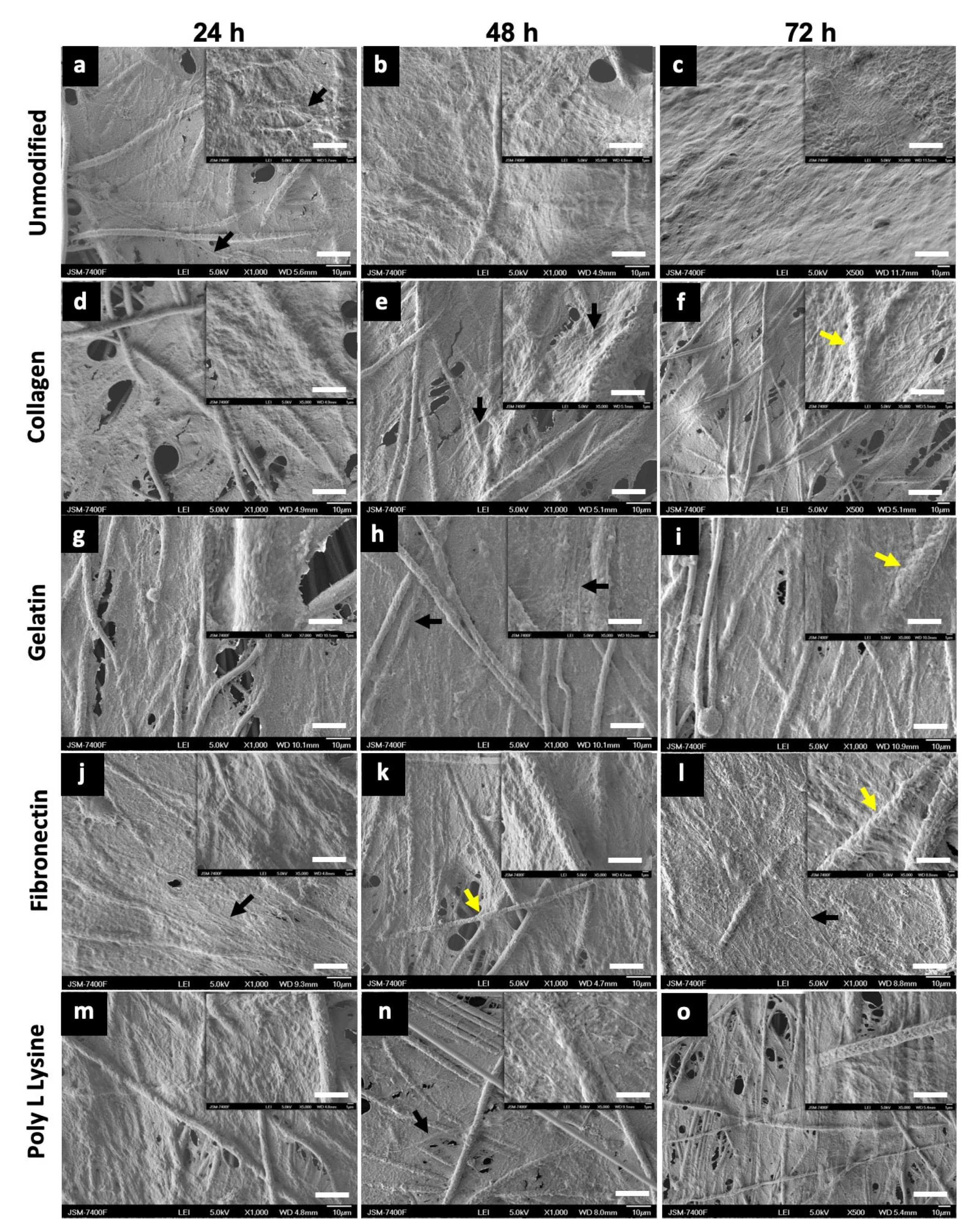 Polymers 12 00451 g008