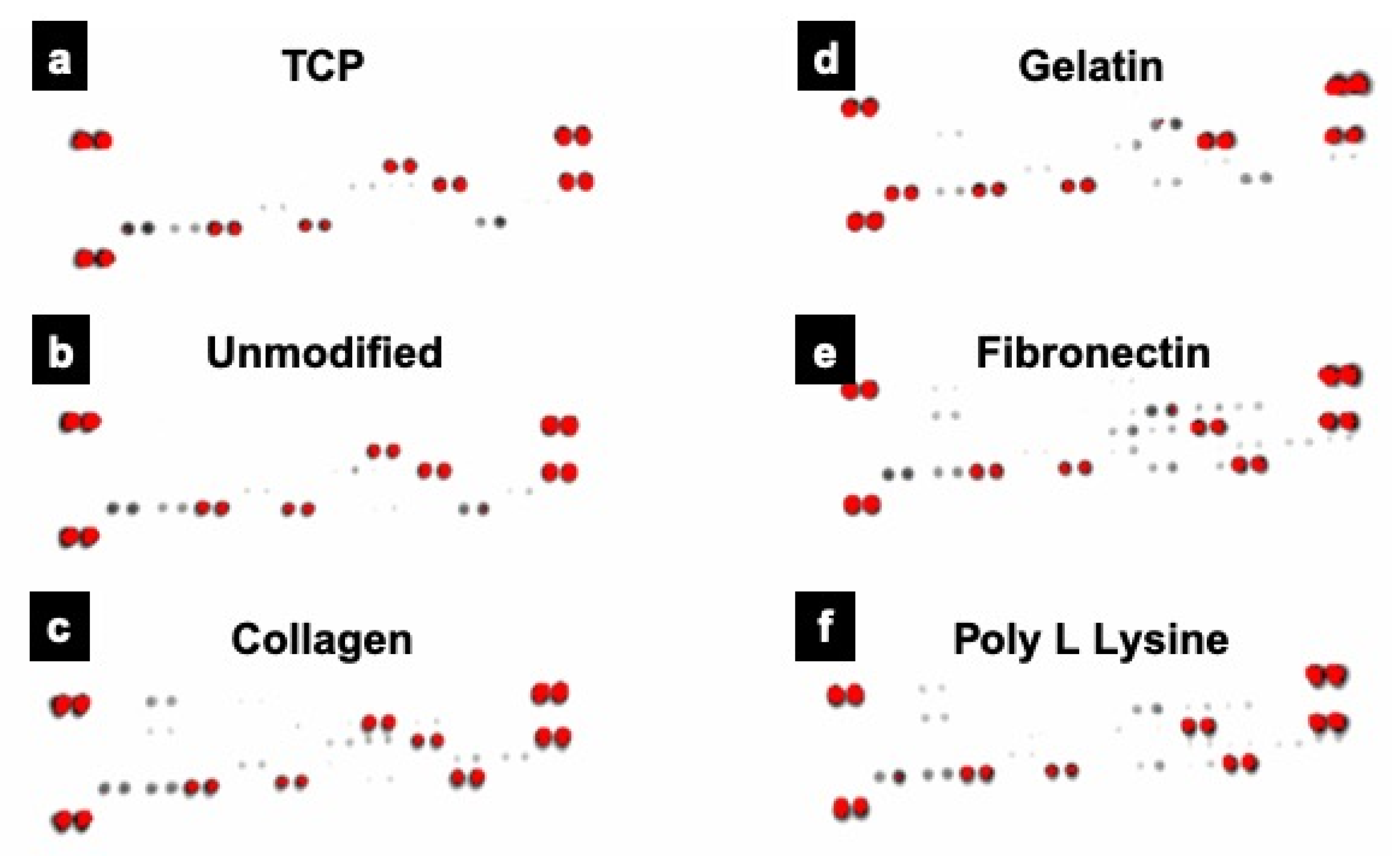 Polymers 12 00451 g011