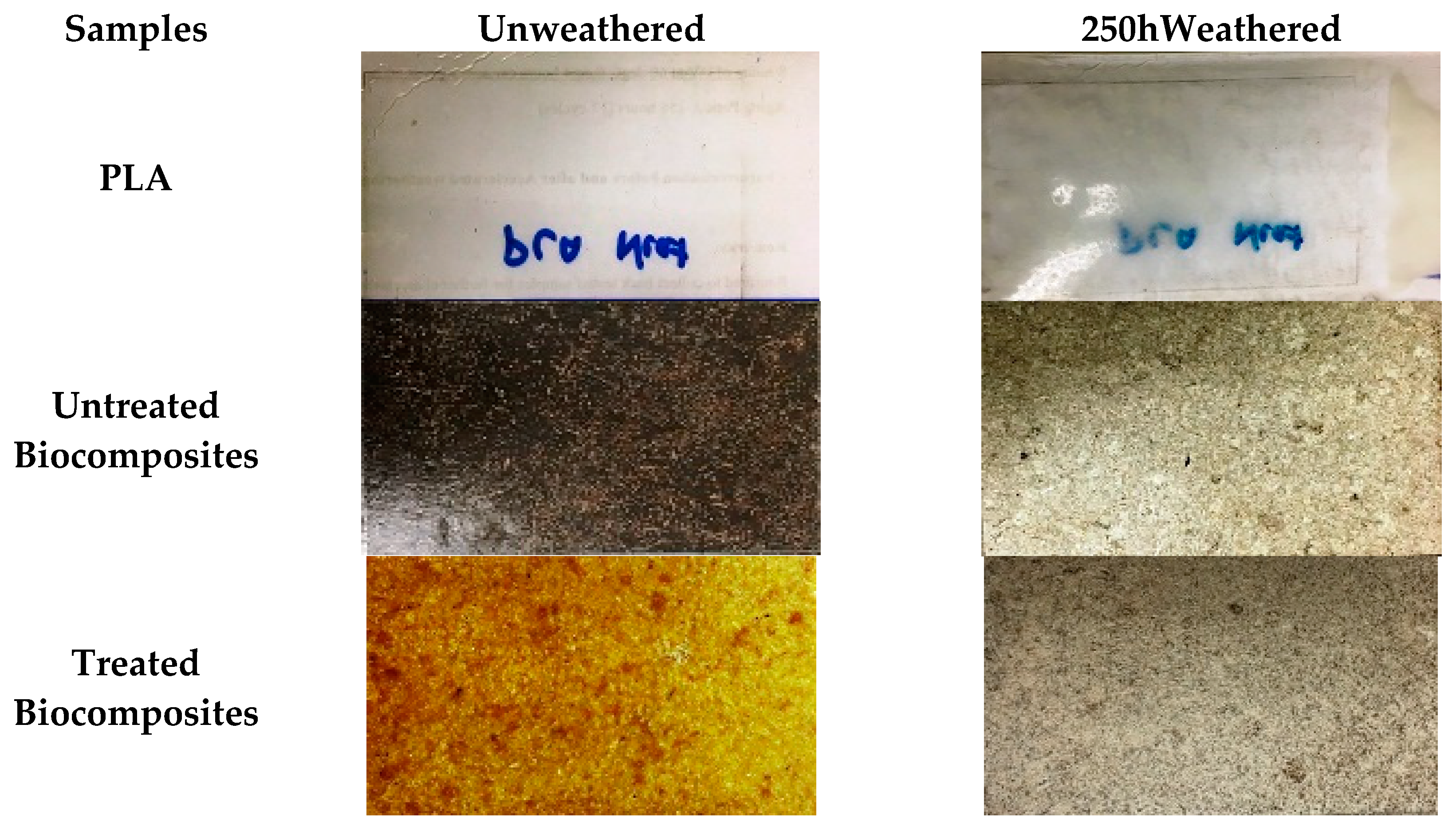 Polymers 12 00458 g002 Polymers 12 00458 g002