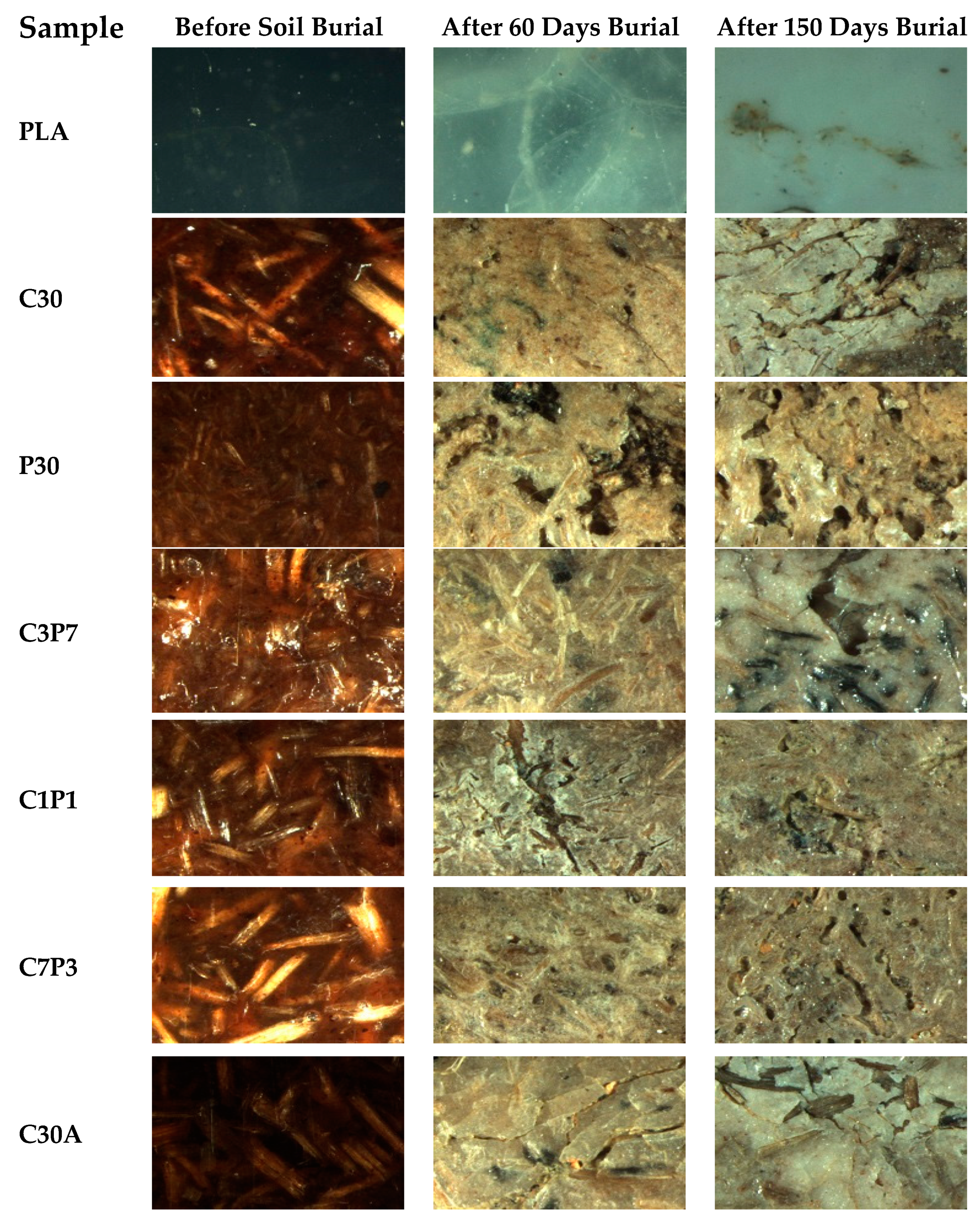 Polymers 12 00458 g006a Polymers 12 00458 g006a