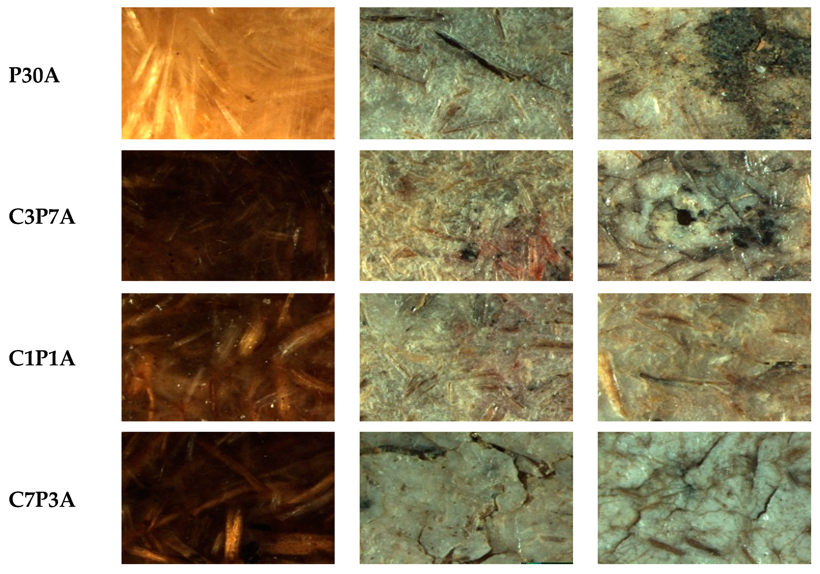 Polymers 12 00458 g006b Polymers 12 00458 g006b