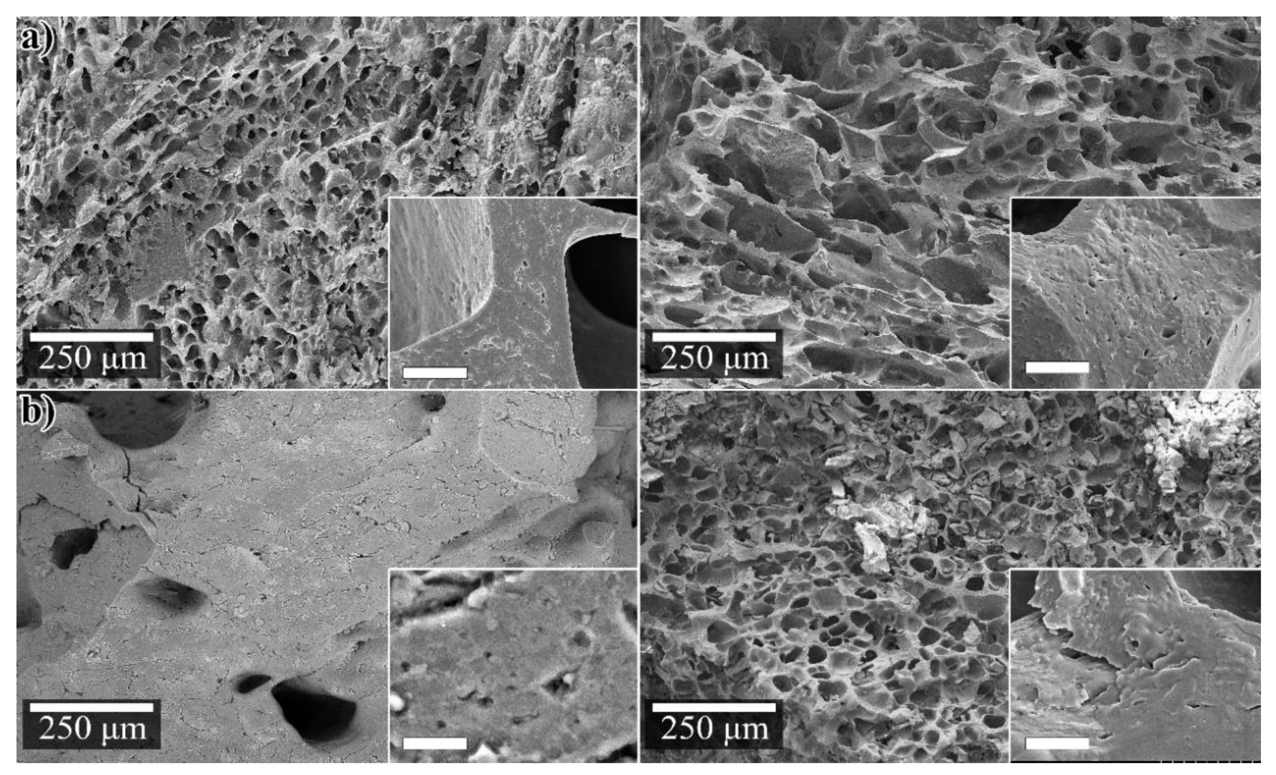 Polymers 12 00459 g003 Polymers 12 00459 g003