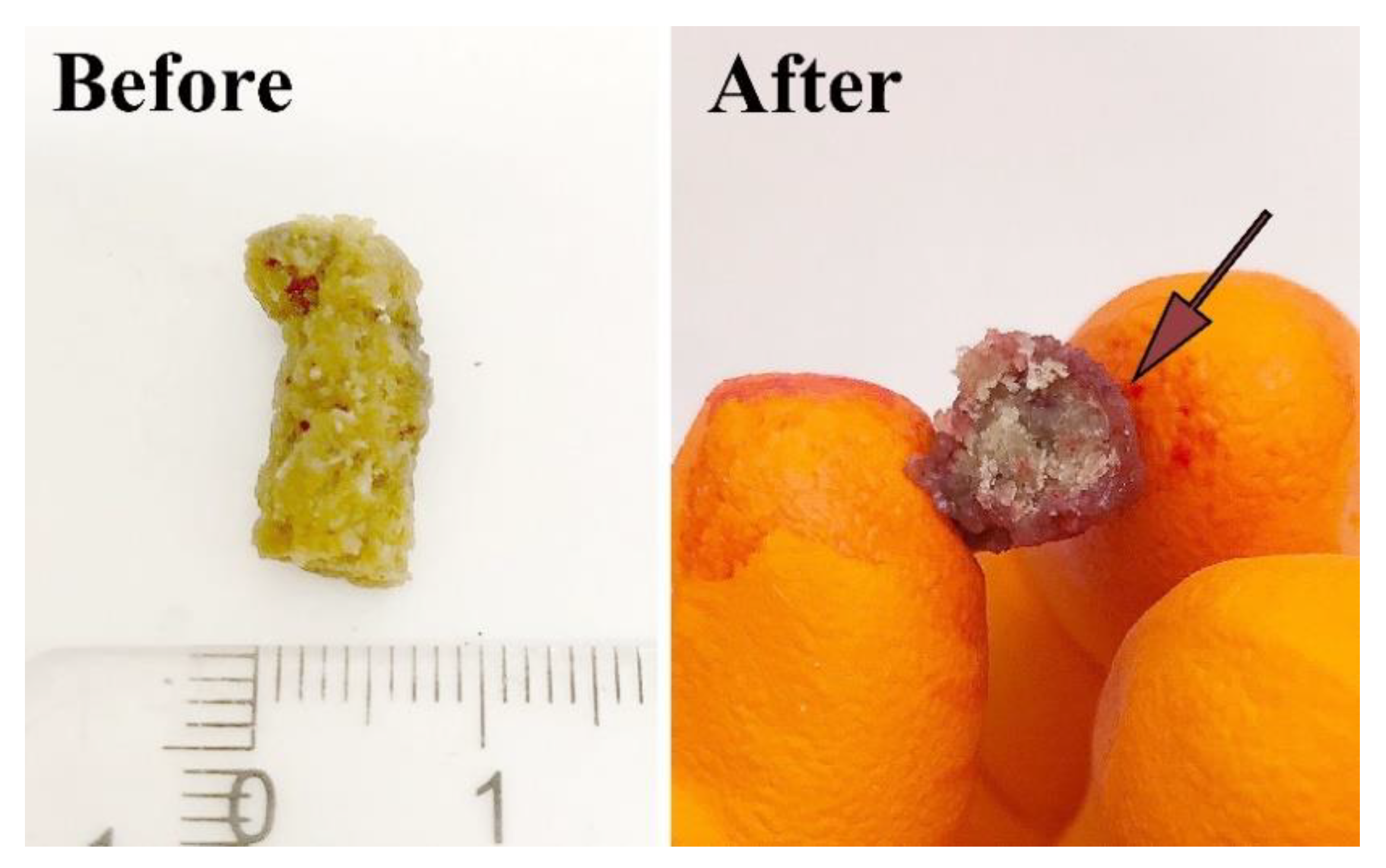 Polymers 12 00459 g005 Polymers 12 00459 g005