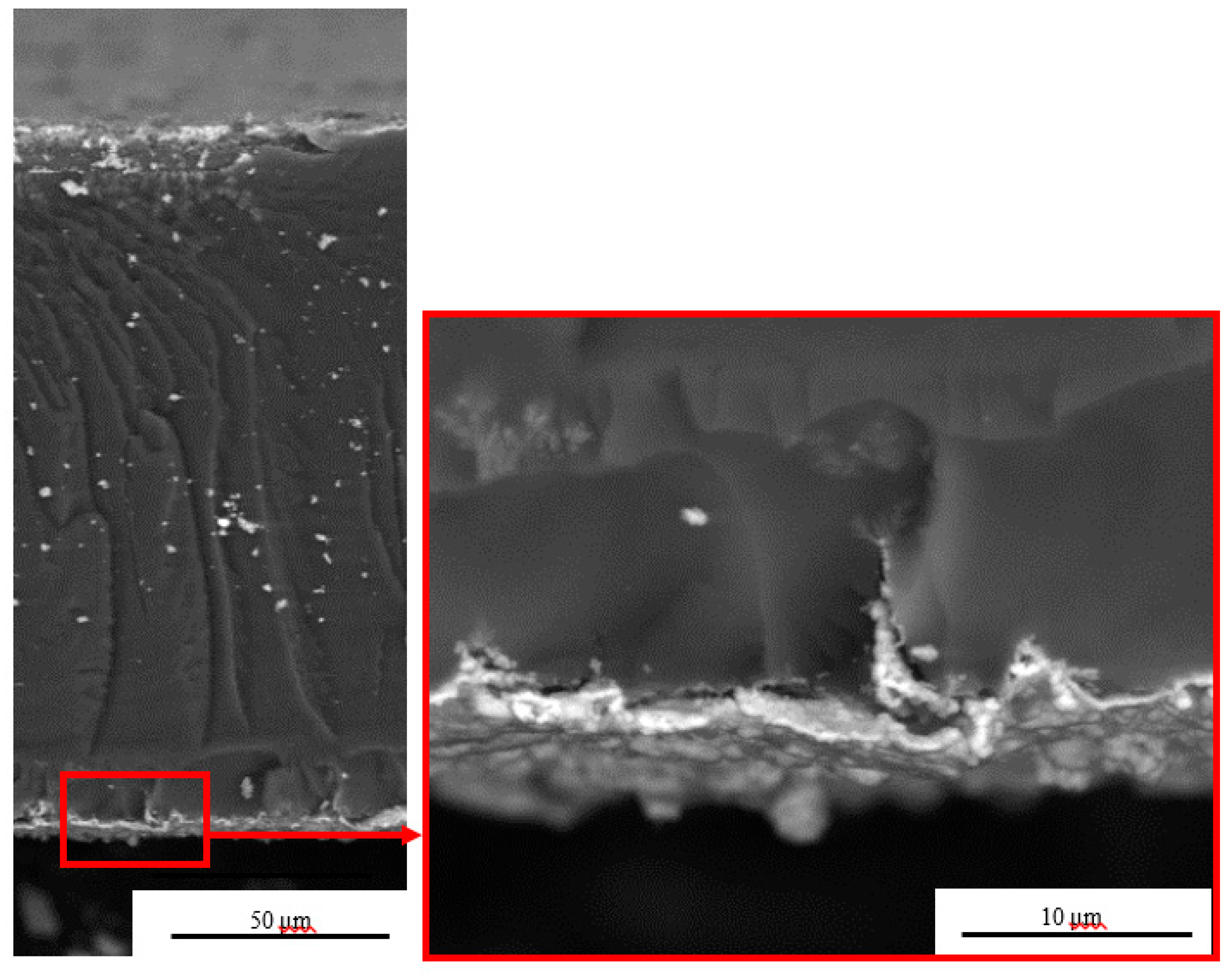 Polymers 12 00460 g002 Polymers 12 00460 g002