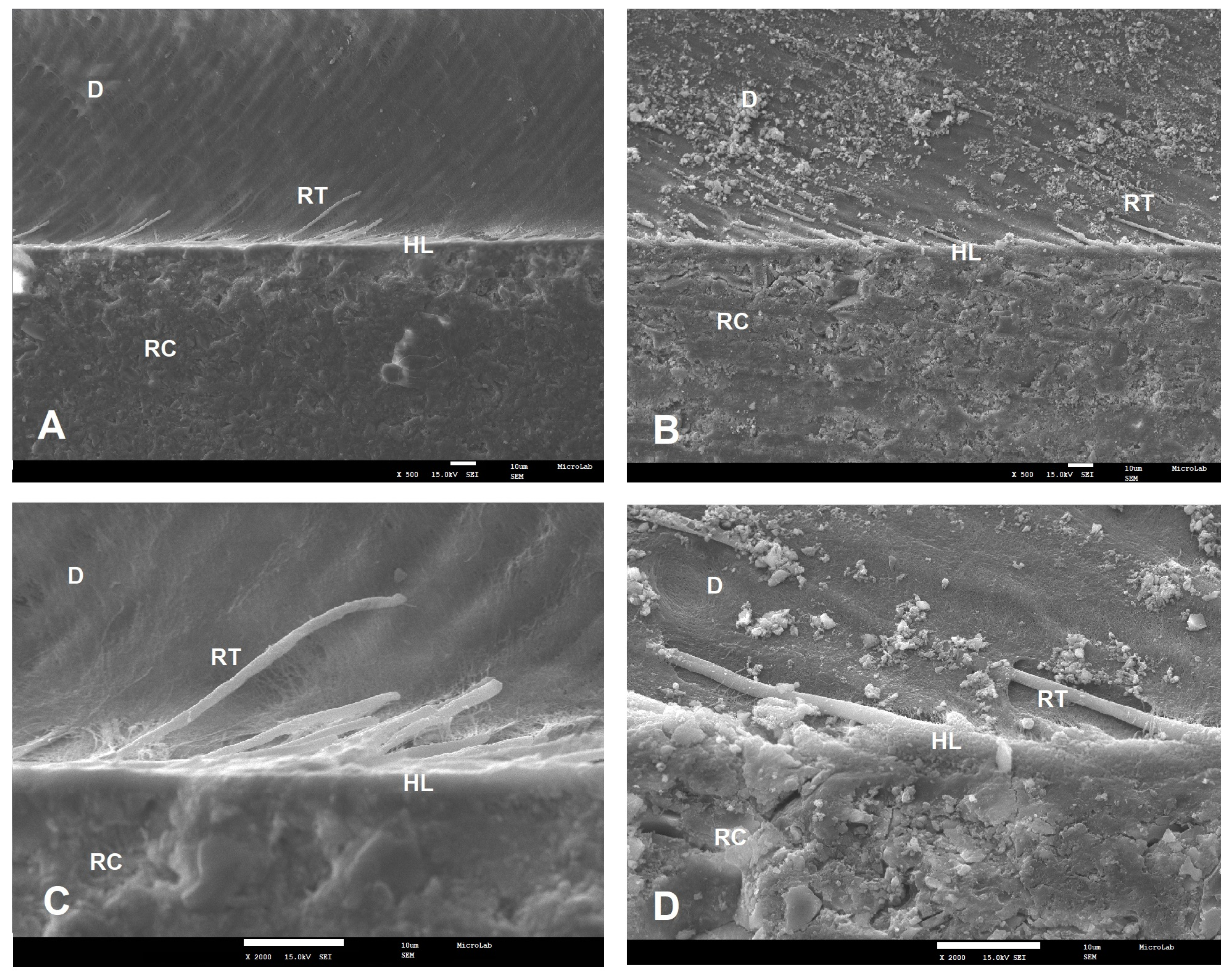 Polymers 12 00461 g003 Polymers 12 00461 g003