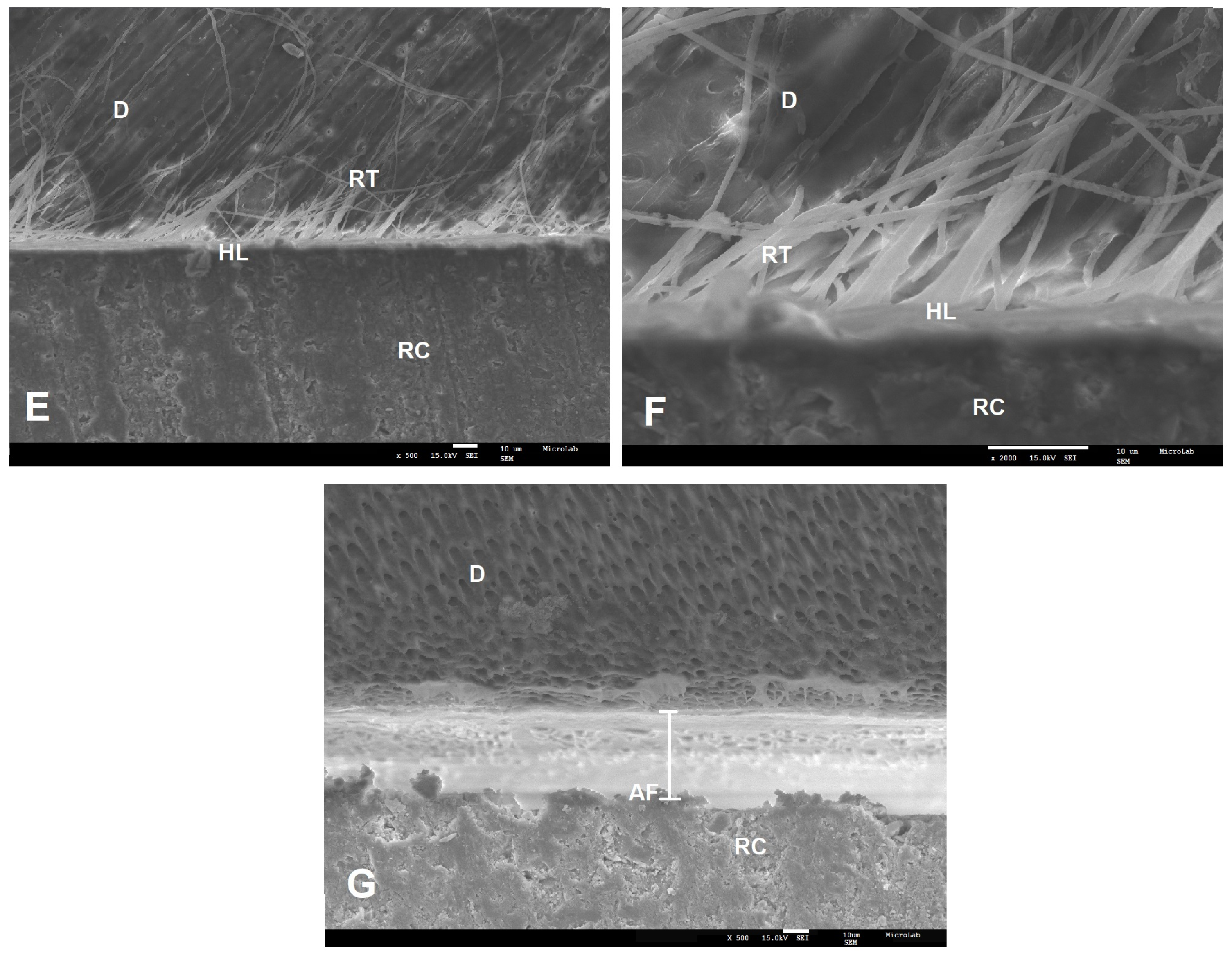 Polymers 12 00461 g004 Polymers 12 00461 g004