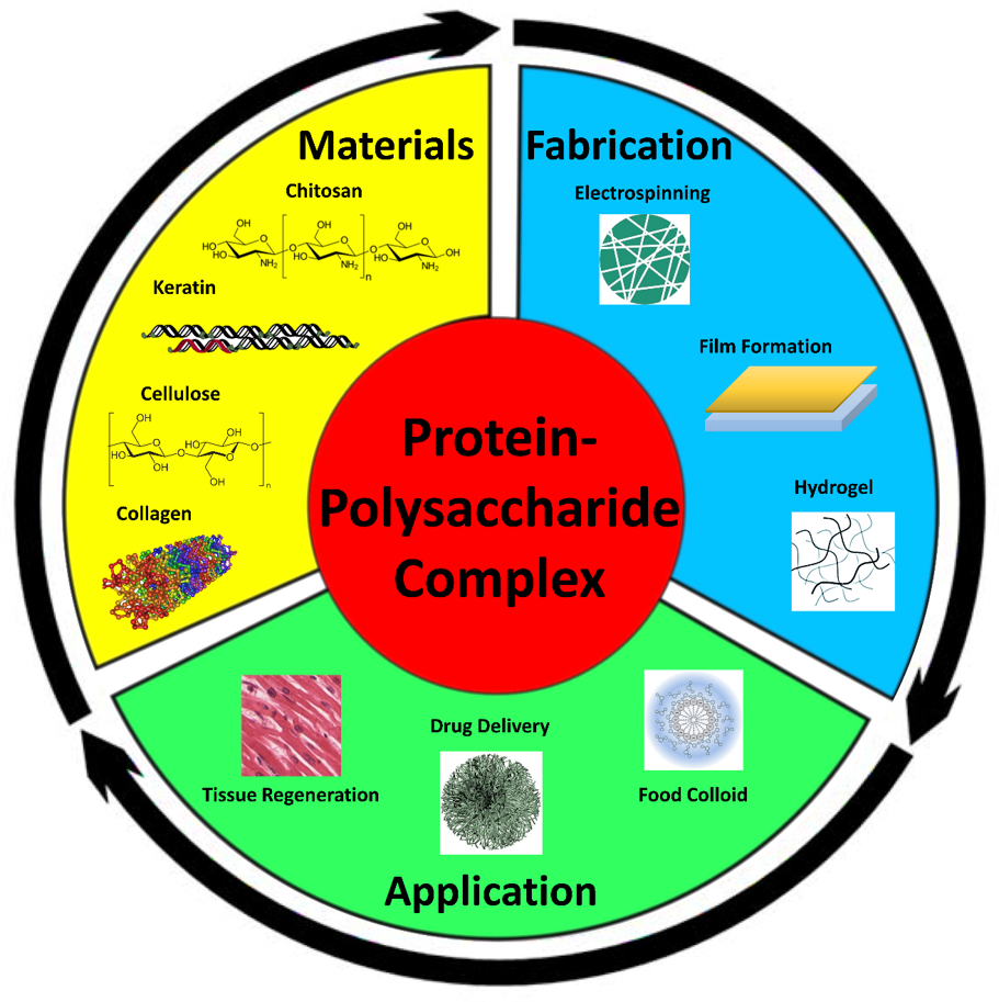 Polymers Free Full Text Protein Polysaccharide Composite Materials Fabrication And Applications Html