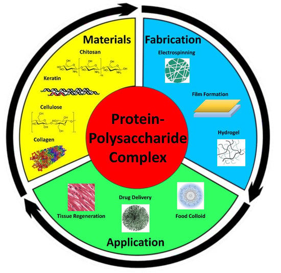 Polymers | Free Full-Text | Protein–Polysaccharide Composite Materials: Fabrication and Applications | HTML