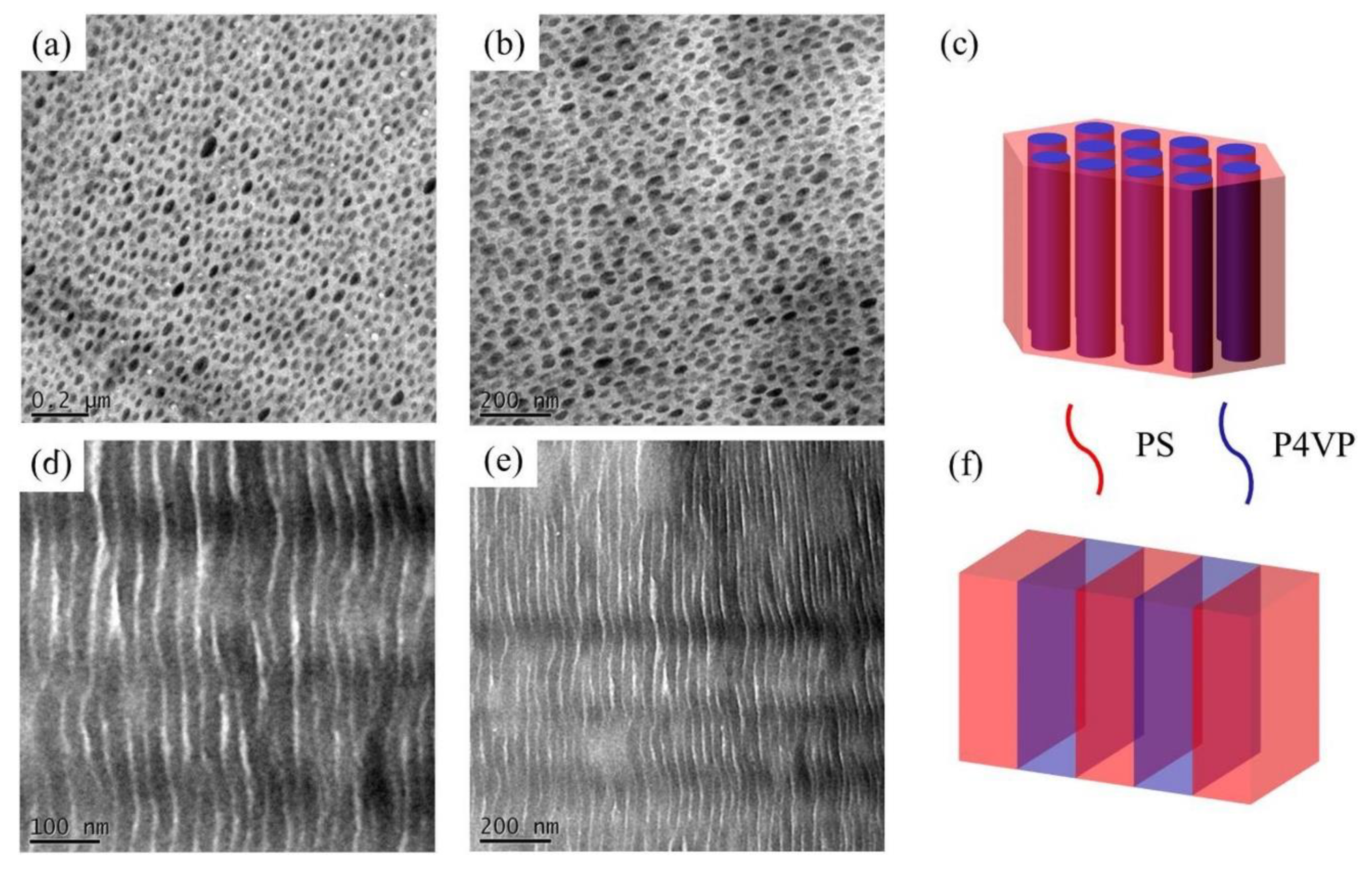 Polymers 12 00465 g010 Polymers 12 00465 g010