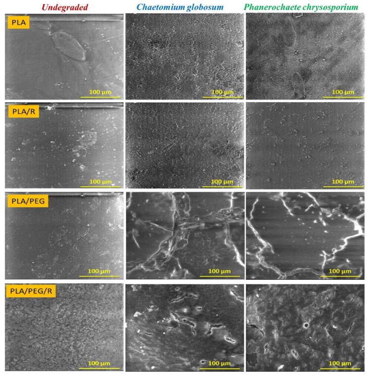 Polymers 12 00469 g002 Polymers 12 00469 g002