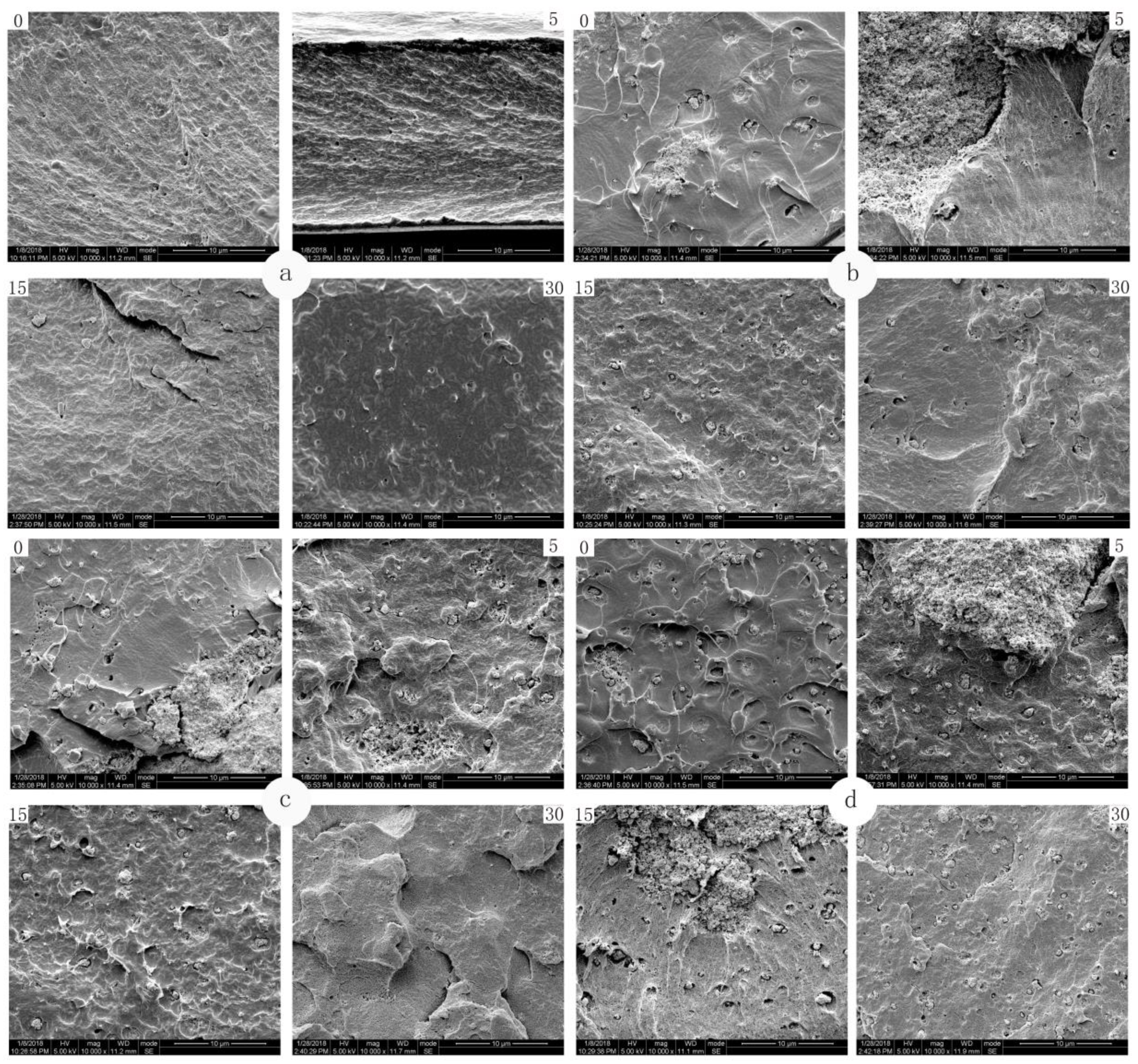 Polymers 12 00471 g002 Polymers 12 00471 g002