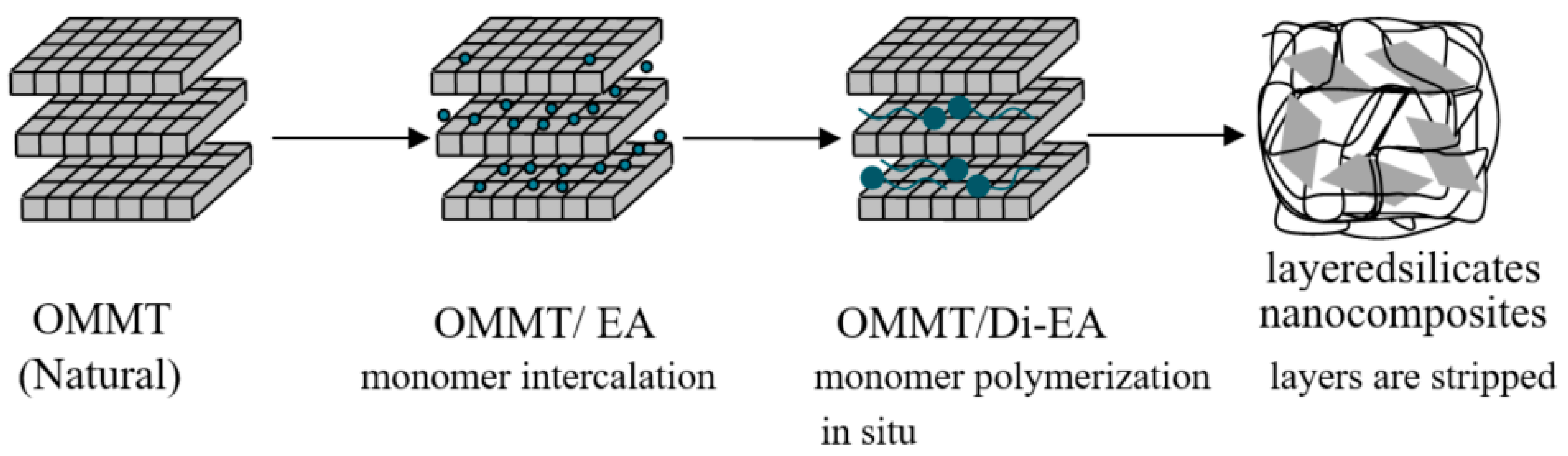 Polymers 12 00473 g001