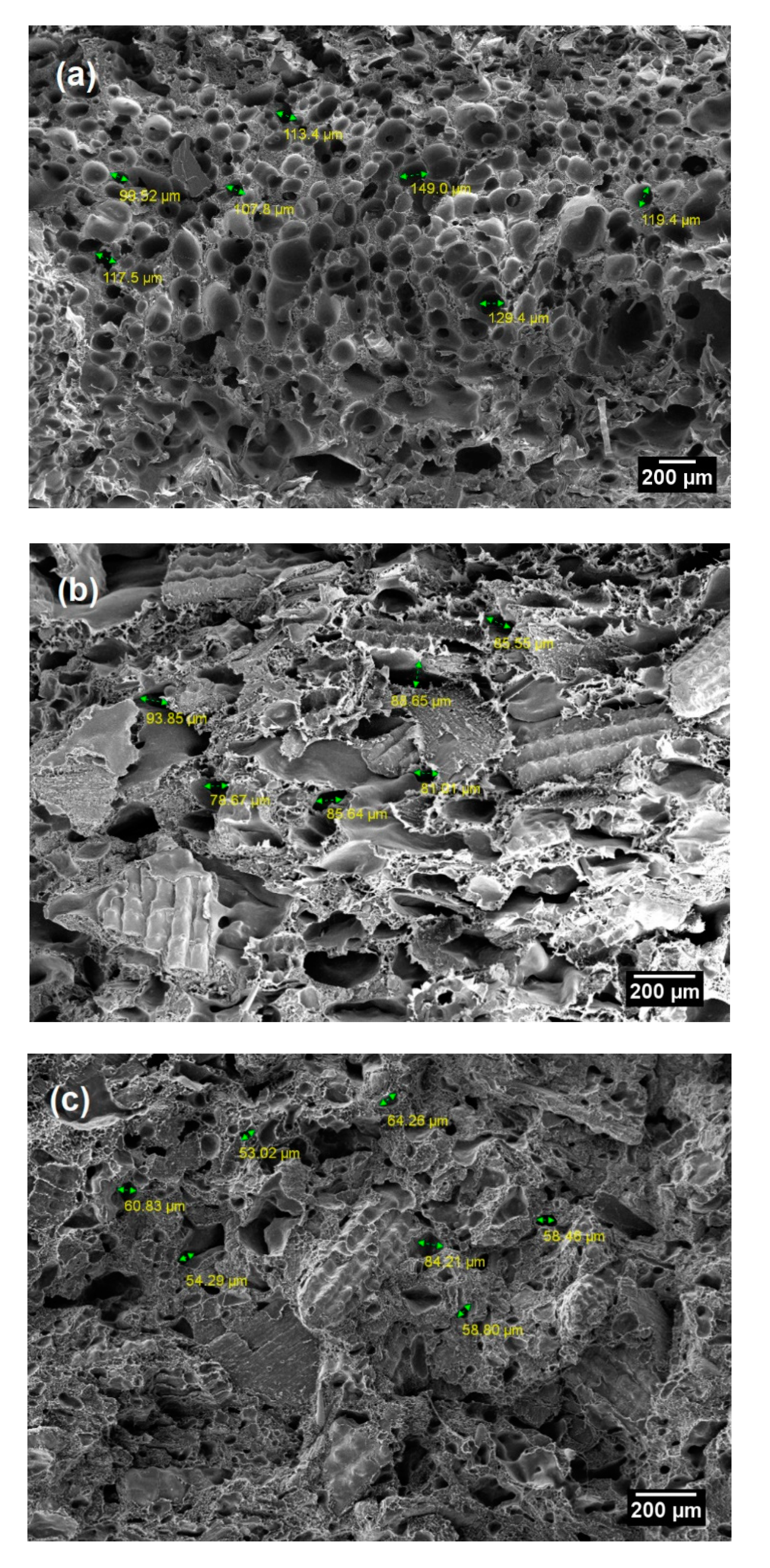 Polymers 12 00475 g002