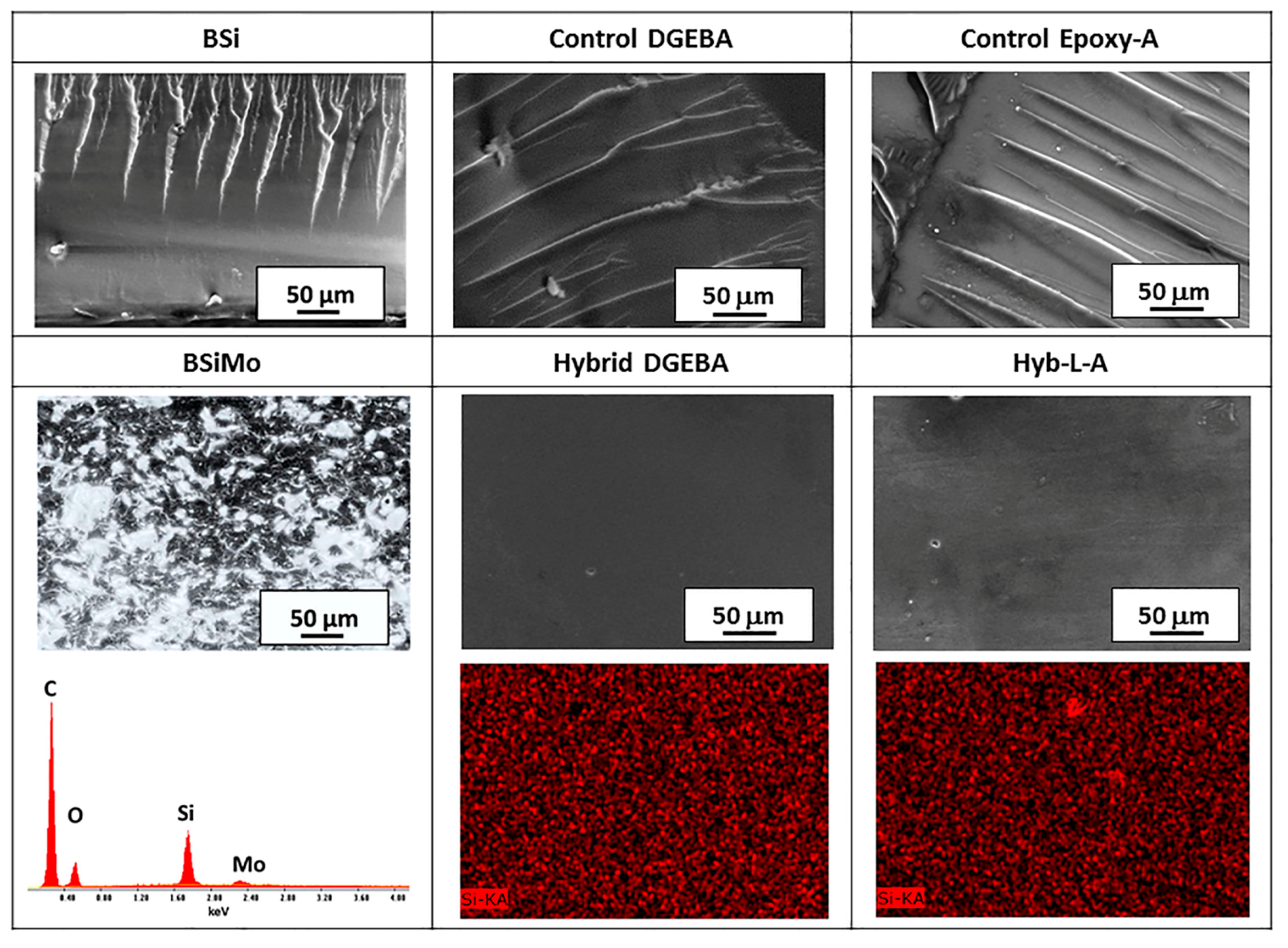 Polymers 12 00476 g004 Polymers 12 00476 g004