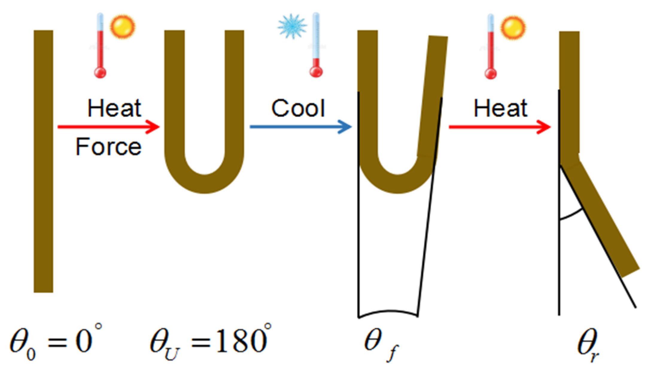 Polymers 12 00483 g001