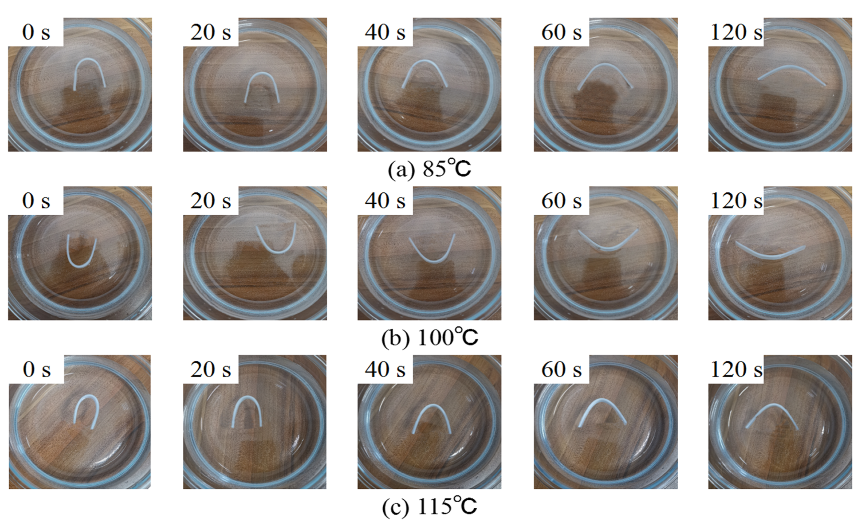 Polymers 12 00483 g009