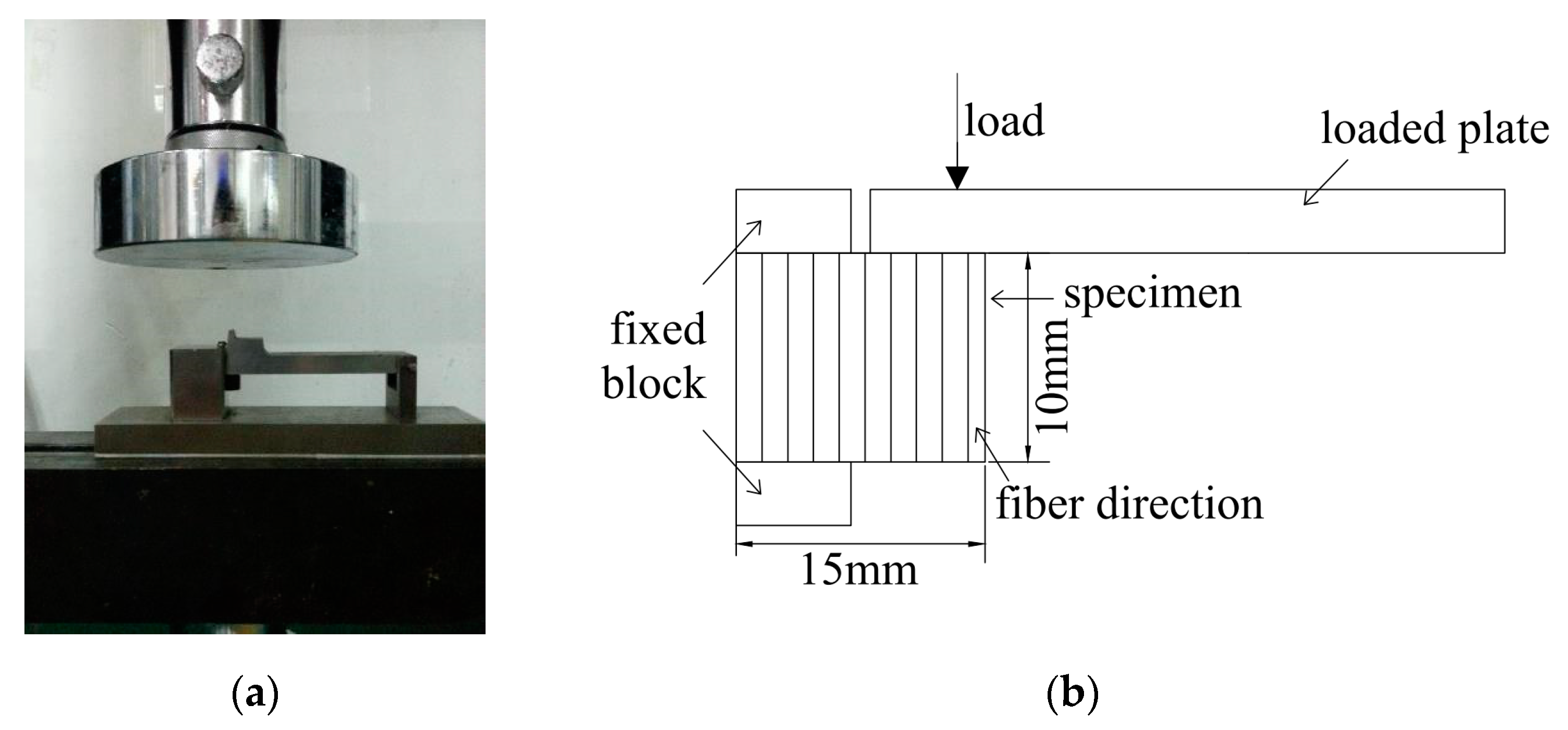 Polymers 12 00491 g004 Polymers 12 00491 g004