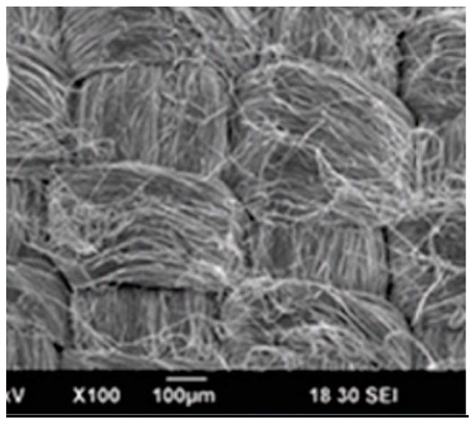 Polymers 12 00492 g003 Polymers 12 00492 g003