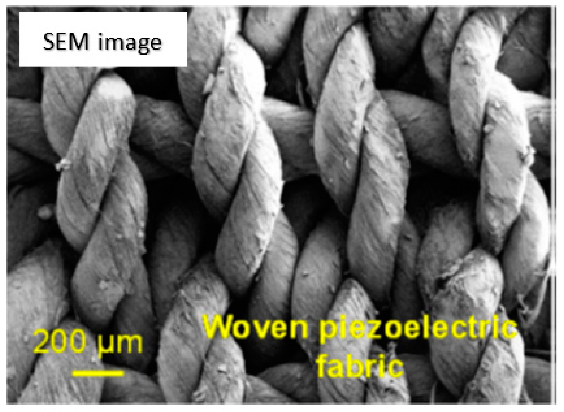 Polymers 12 00492 g005 Polymers 12 00492 g005