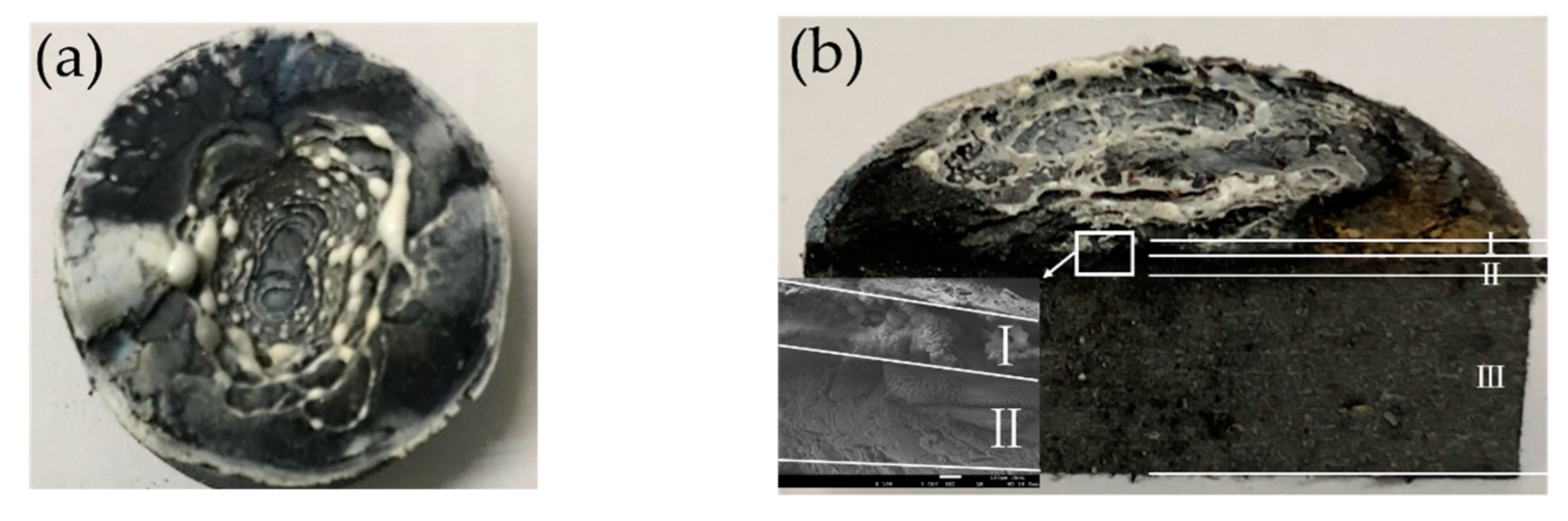 Polymers 12 00496 g009