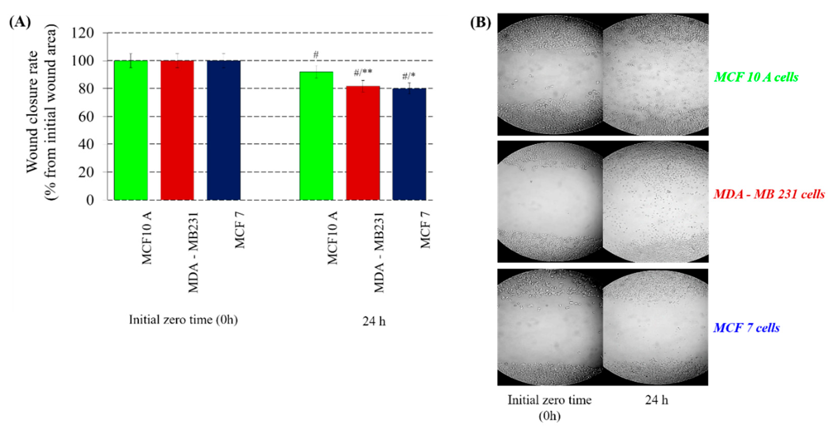 Polymers 12 00499 g002