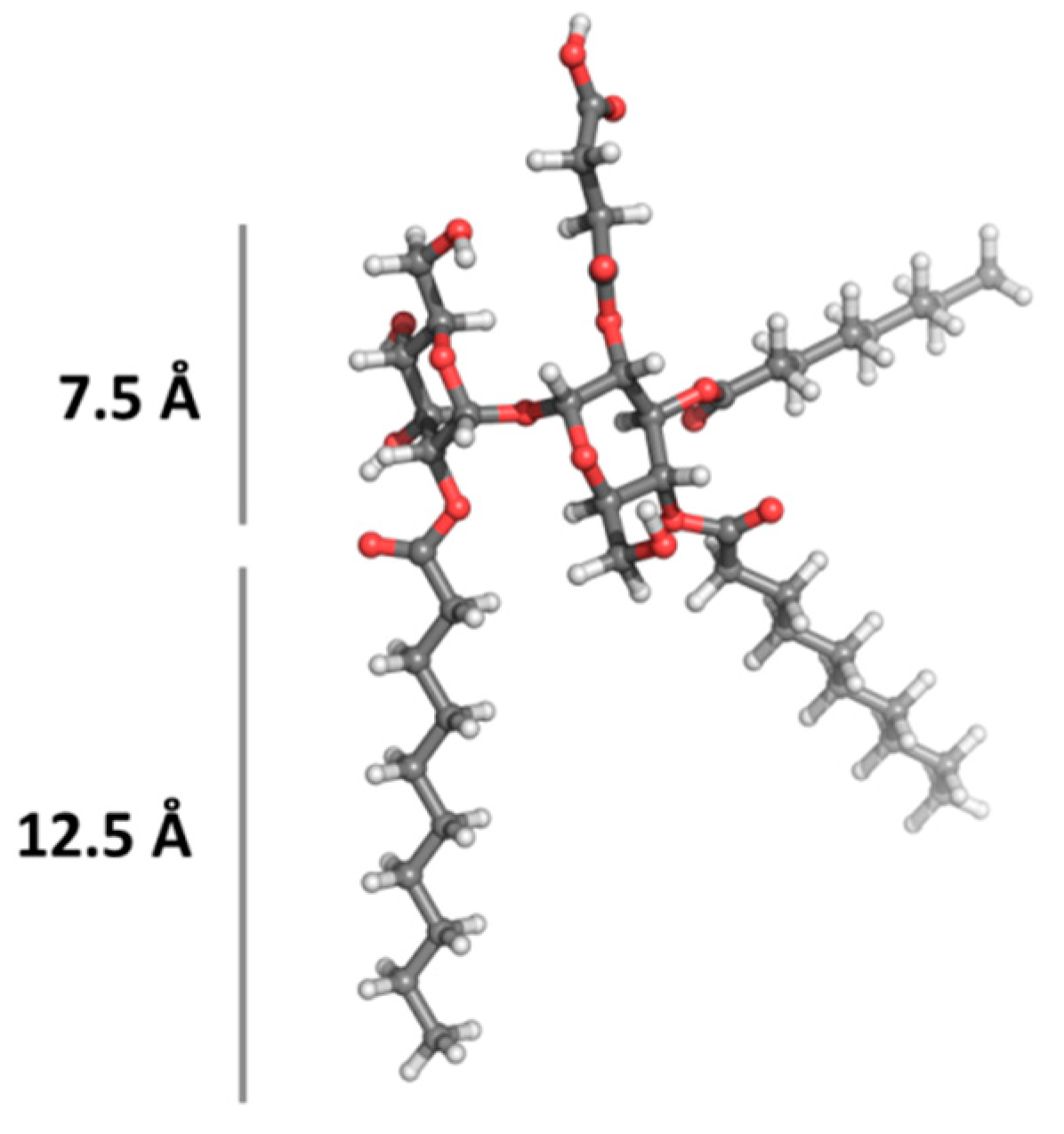 Polymers 12 00499 g004