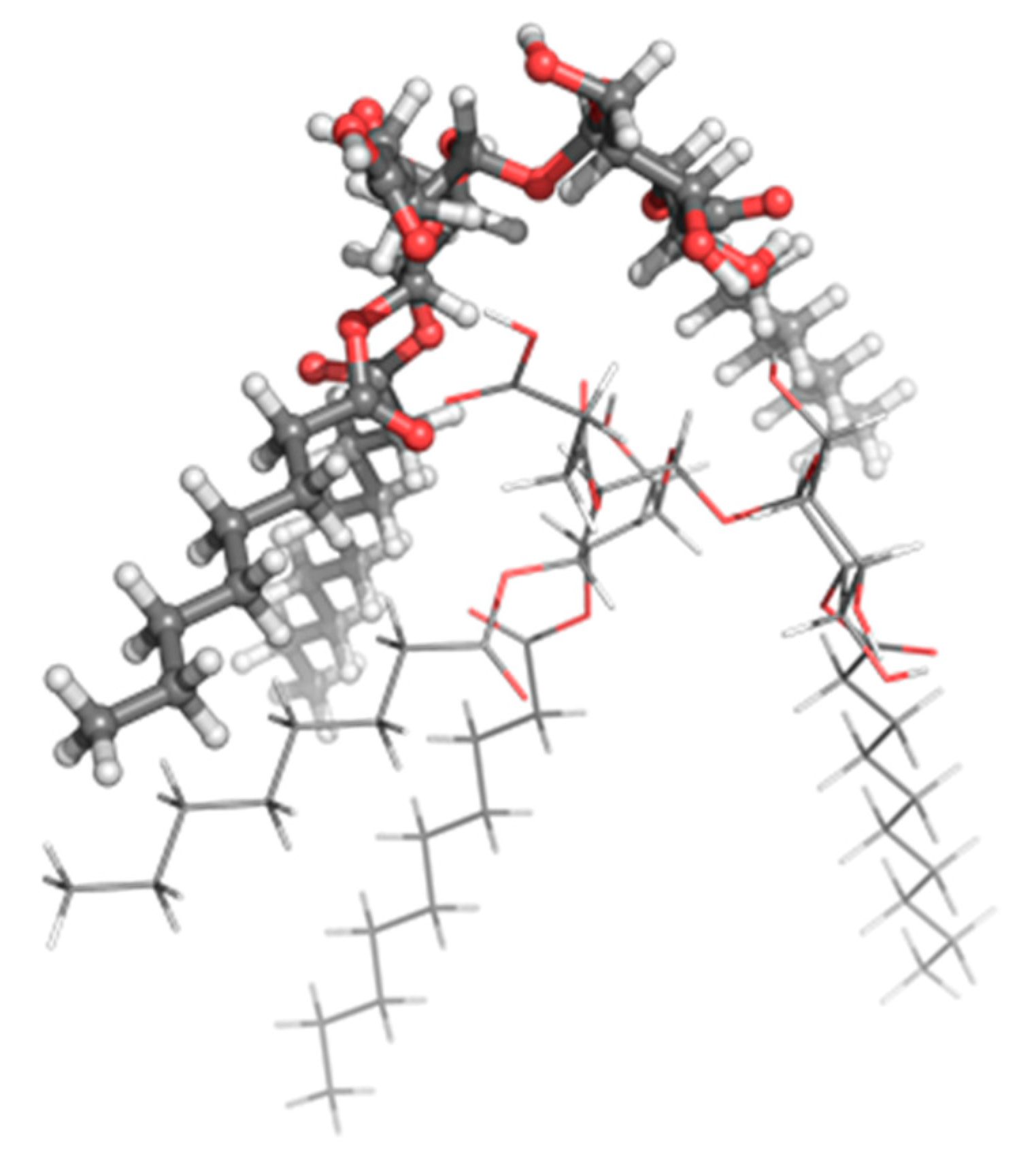 Polymers 12 00499 g005