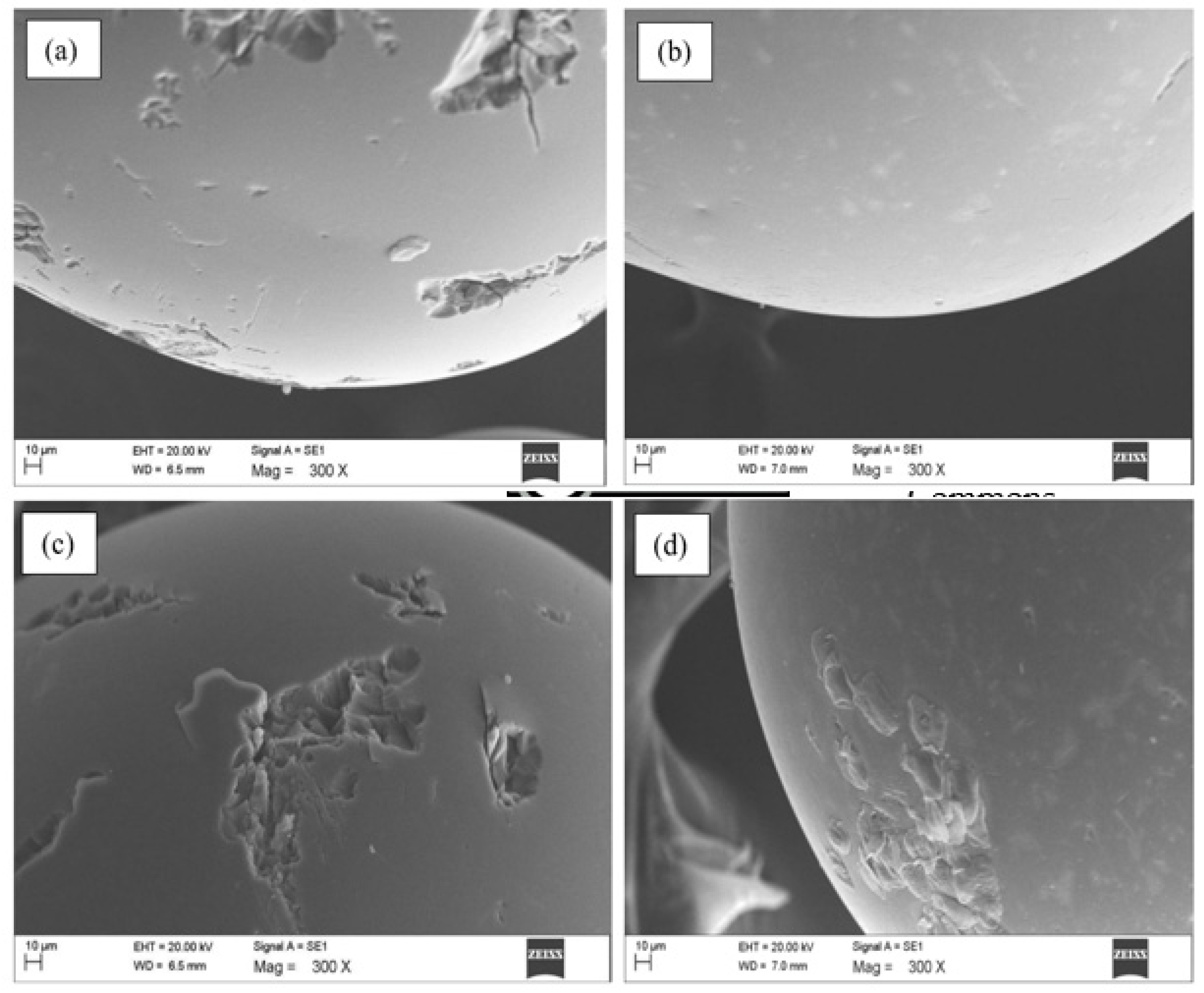 Polymers 12 00500 g001a