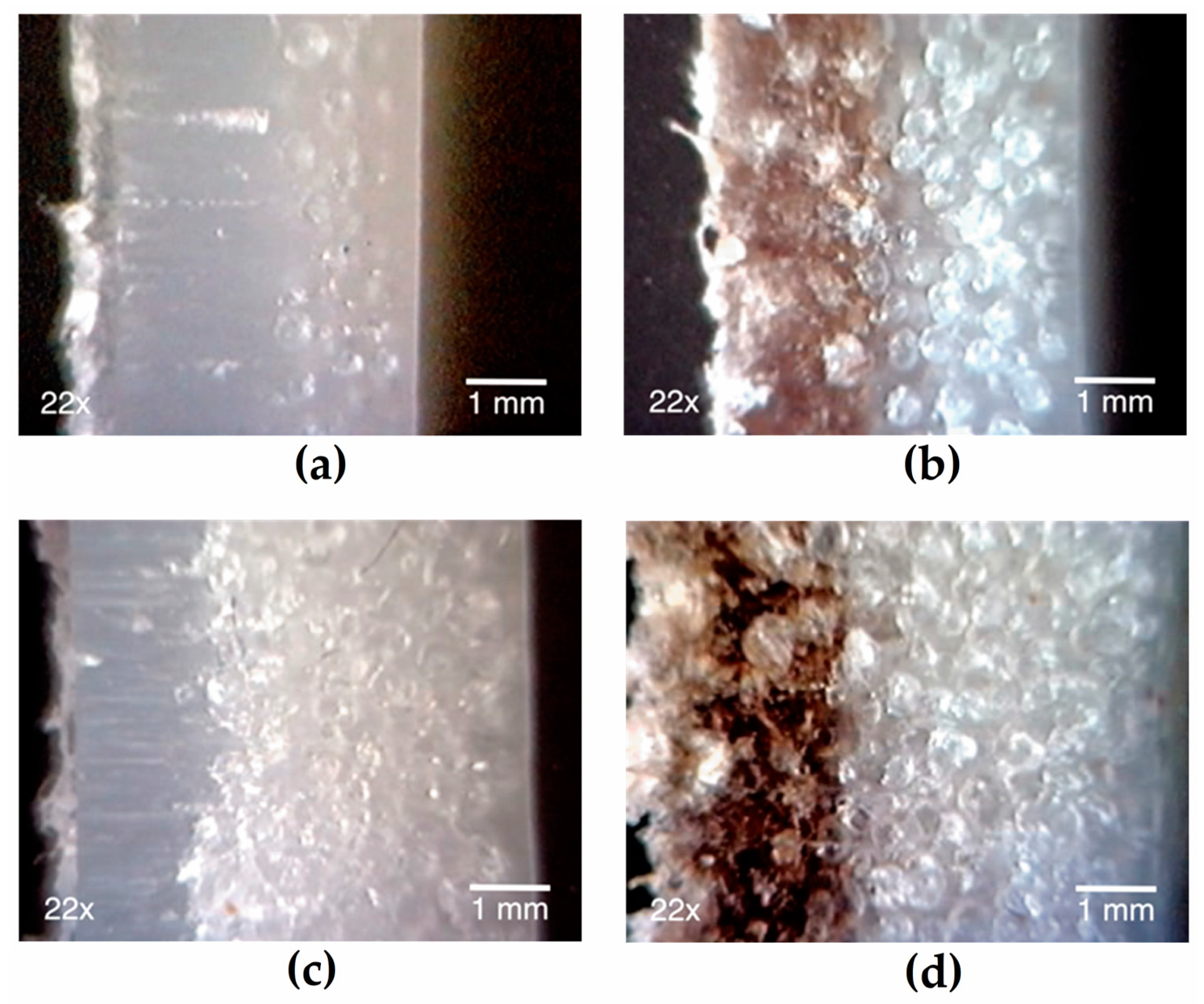 Polymers 12 00503 g004 Polymers 12 00503 g004