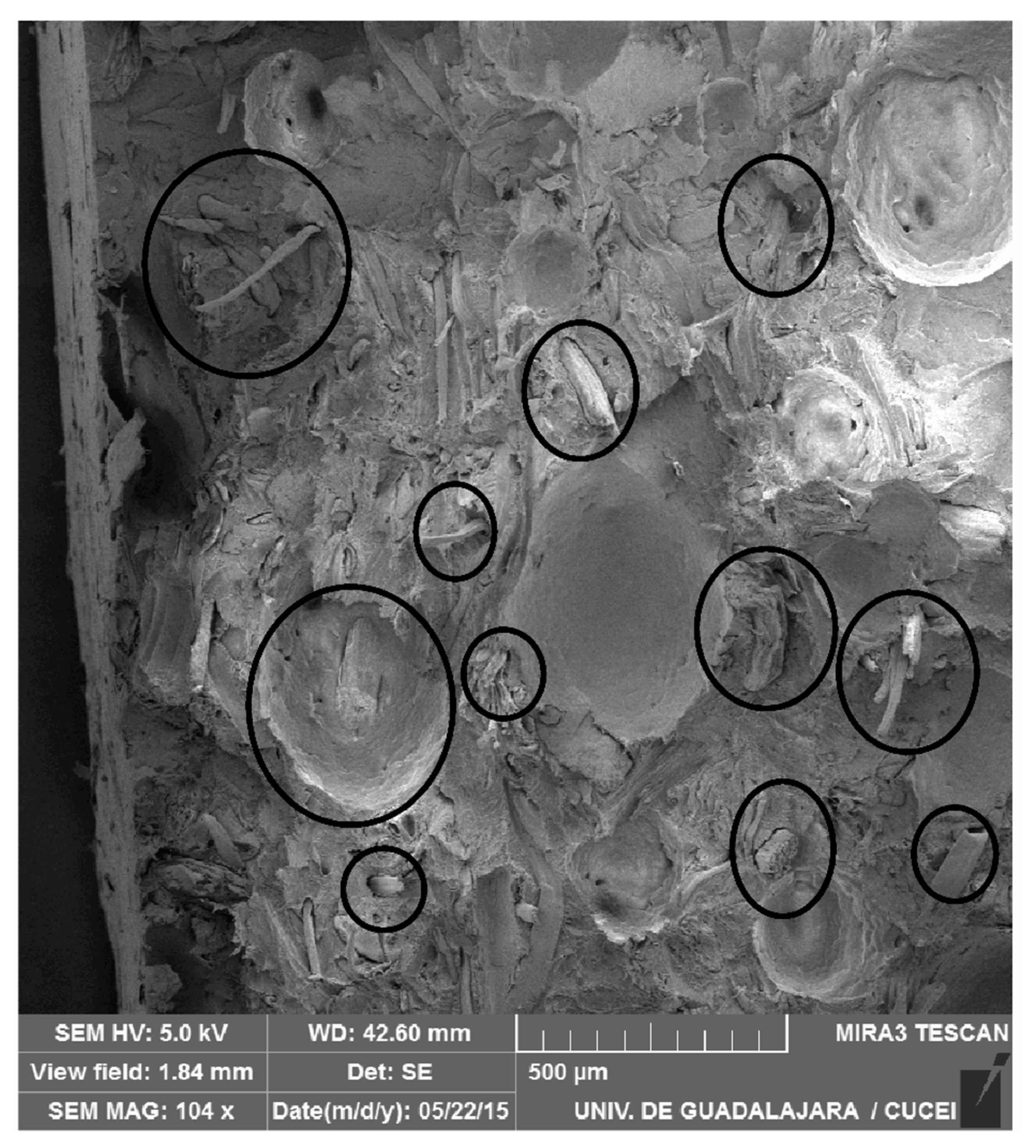 Polymers 12 00503 g007 Polymers 12 00503 g007