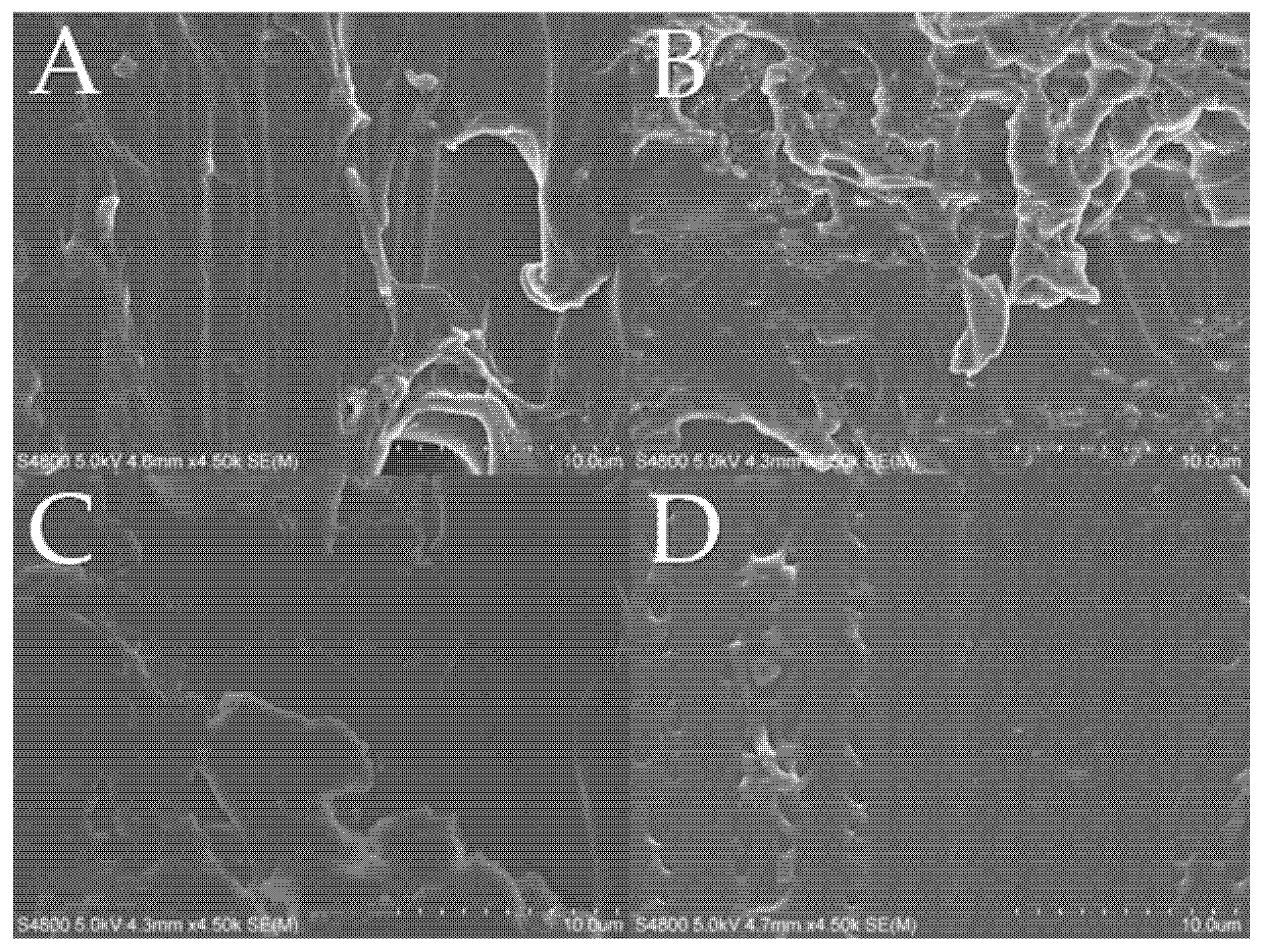 Polymers 12 00507 g004 550