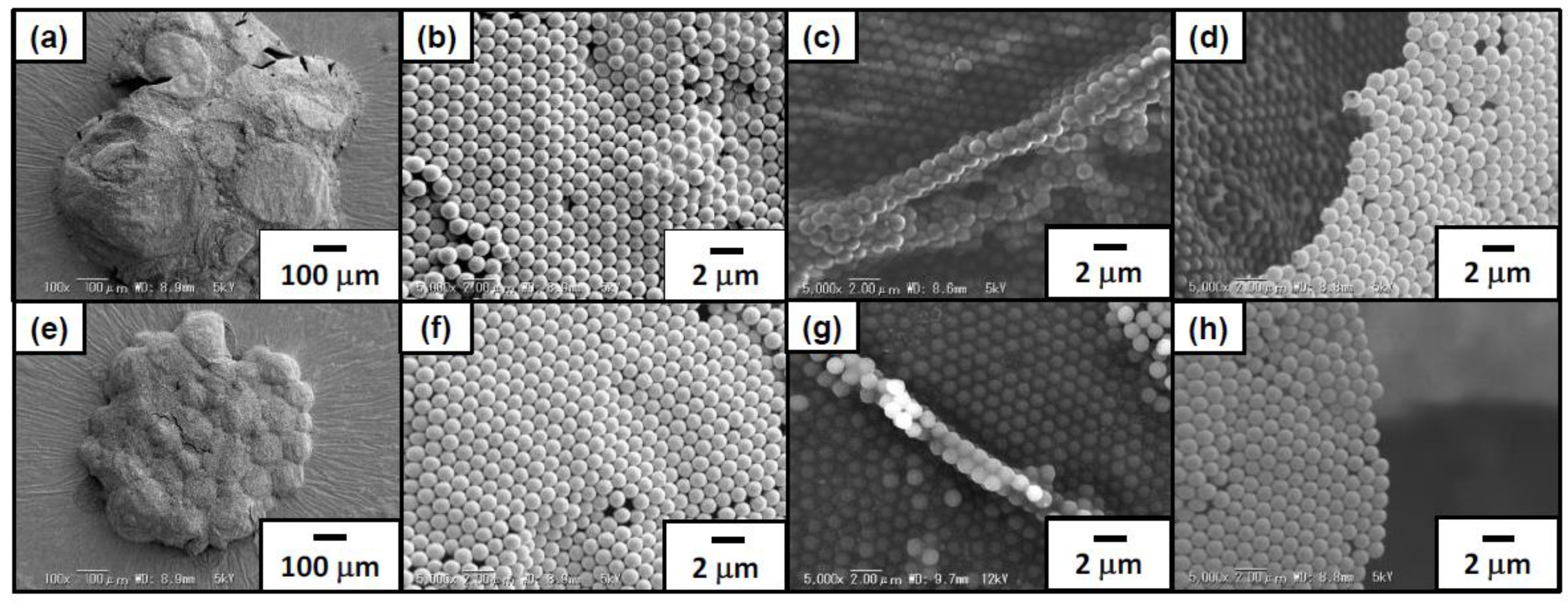 Polymers 12 00511 g003 Polymers 12 00511 g003