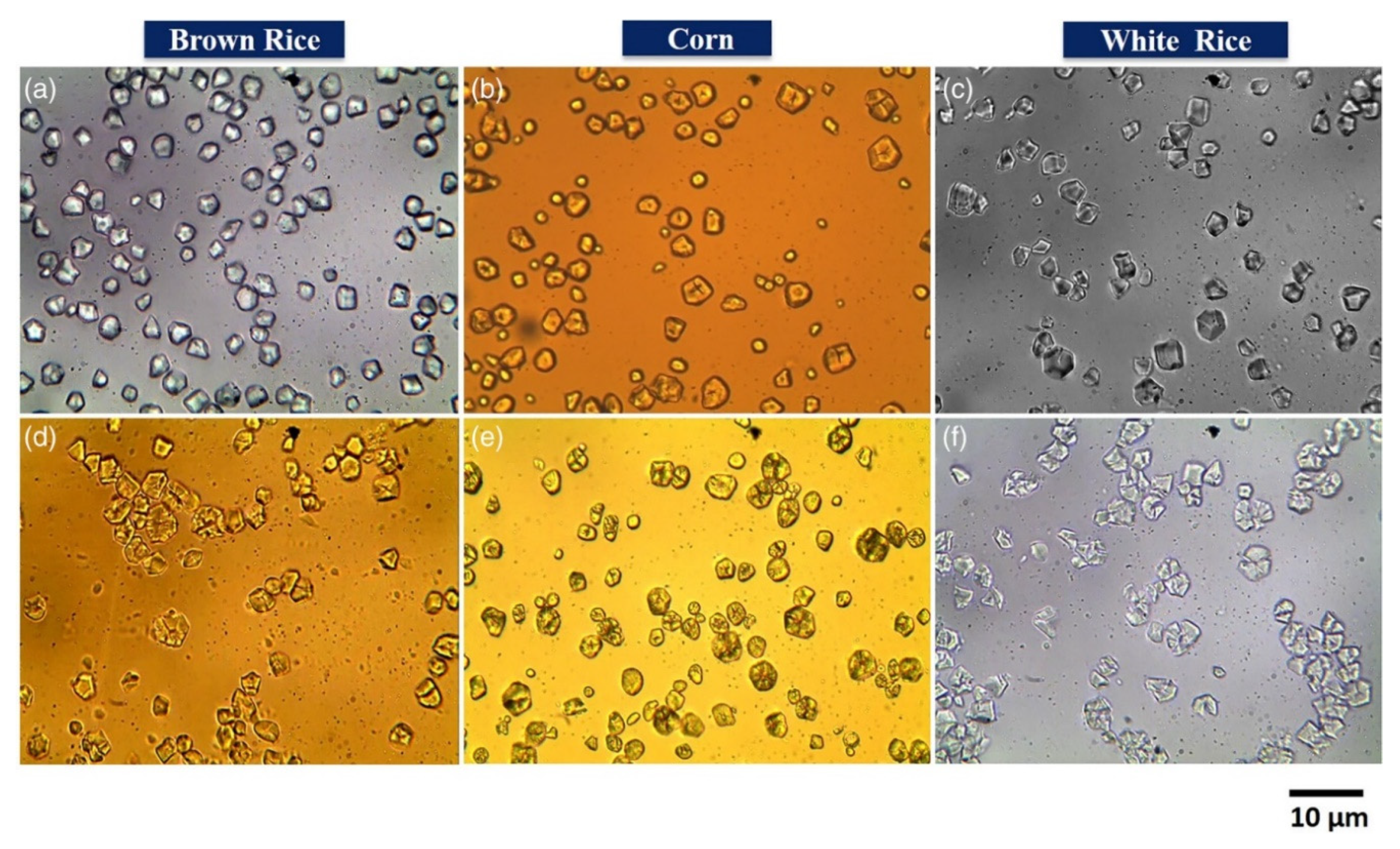 Polymers 12 00512 g003