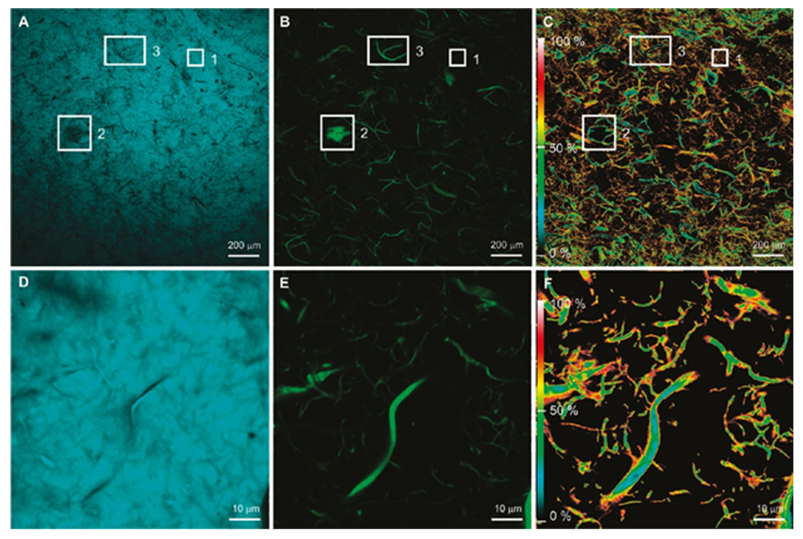 Polymers 12 00512 g004