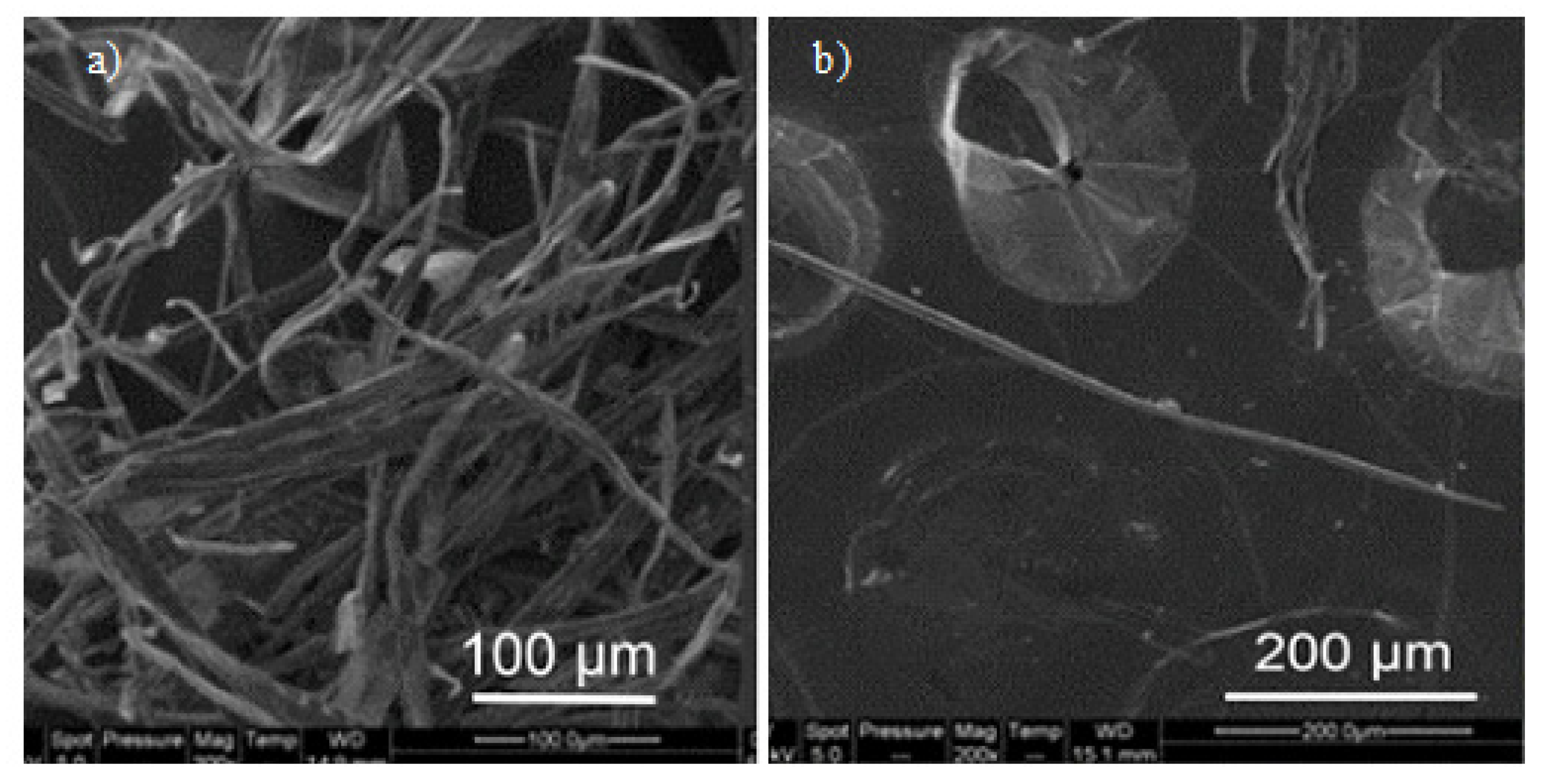 Polymers 12 00512 g005